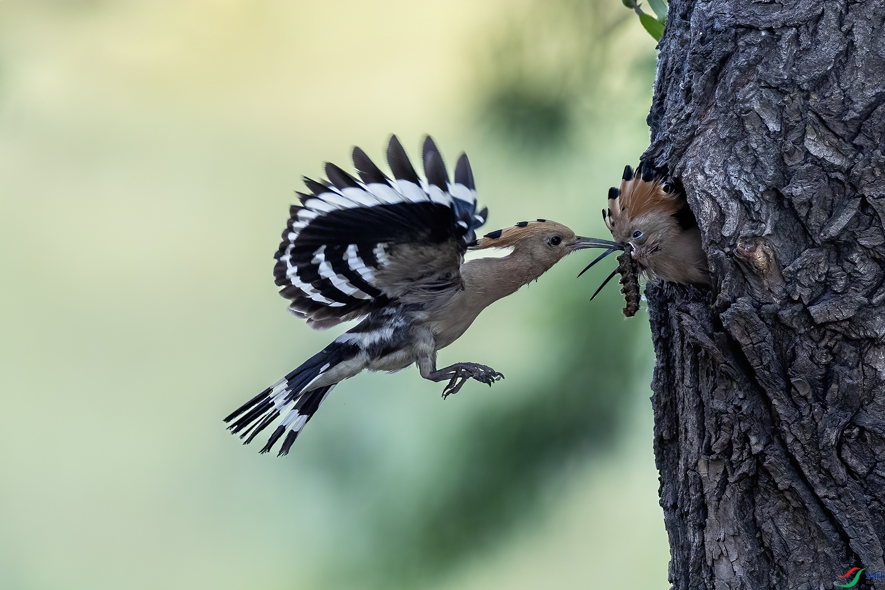 488A0820 ����.jpg