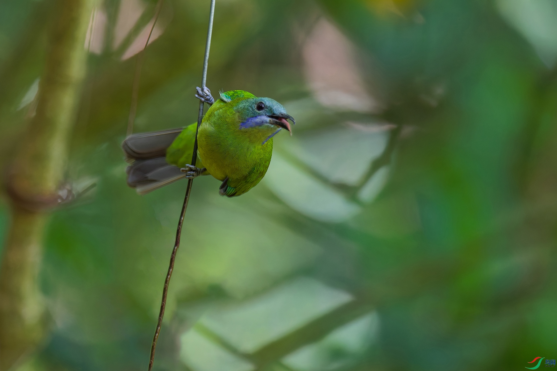 4DSC_0626_DxO_DxOaa.jpg