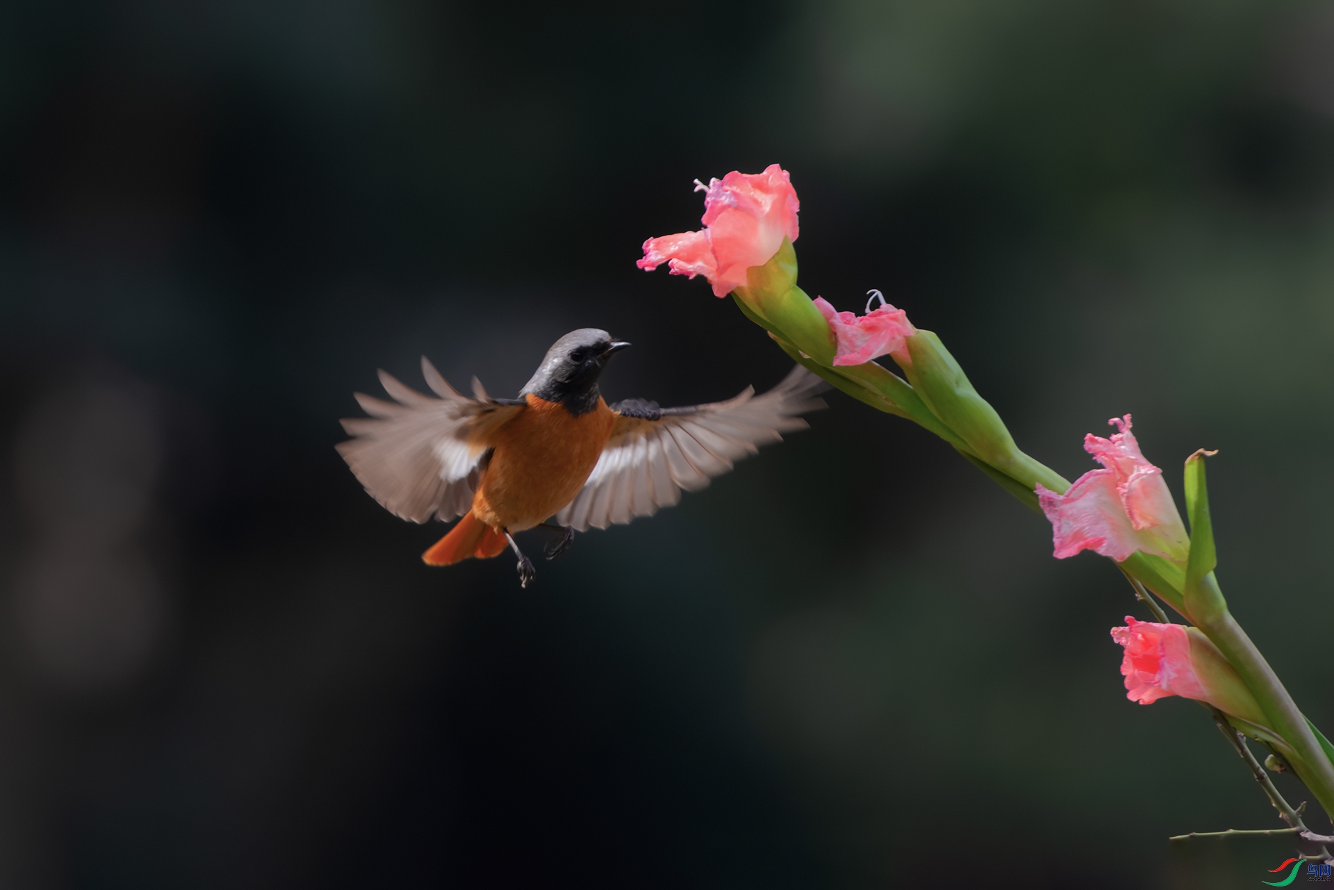 6DSC_0209_DxOa.jpg