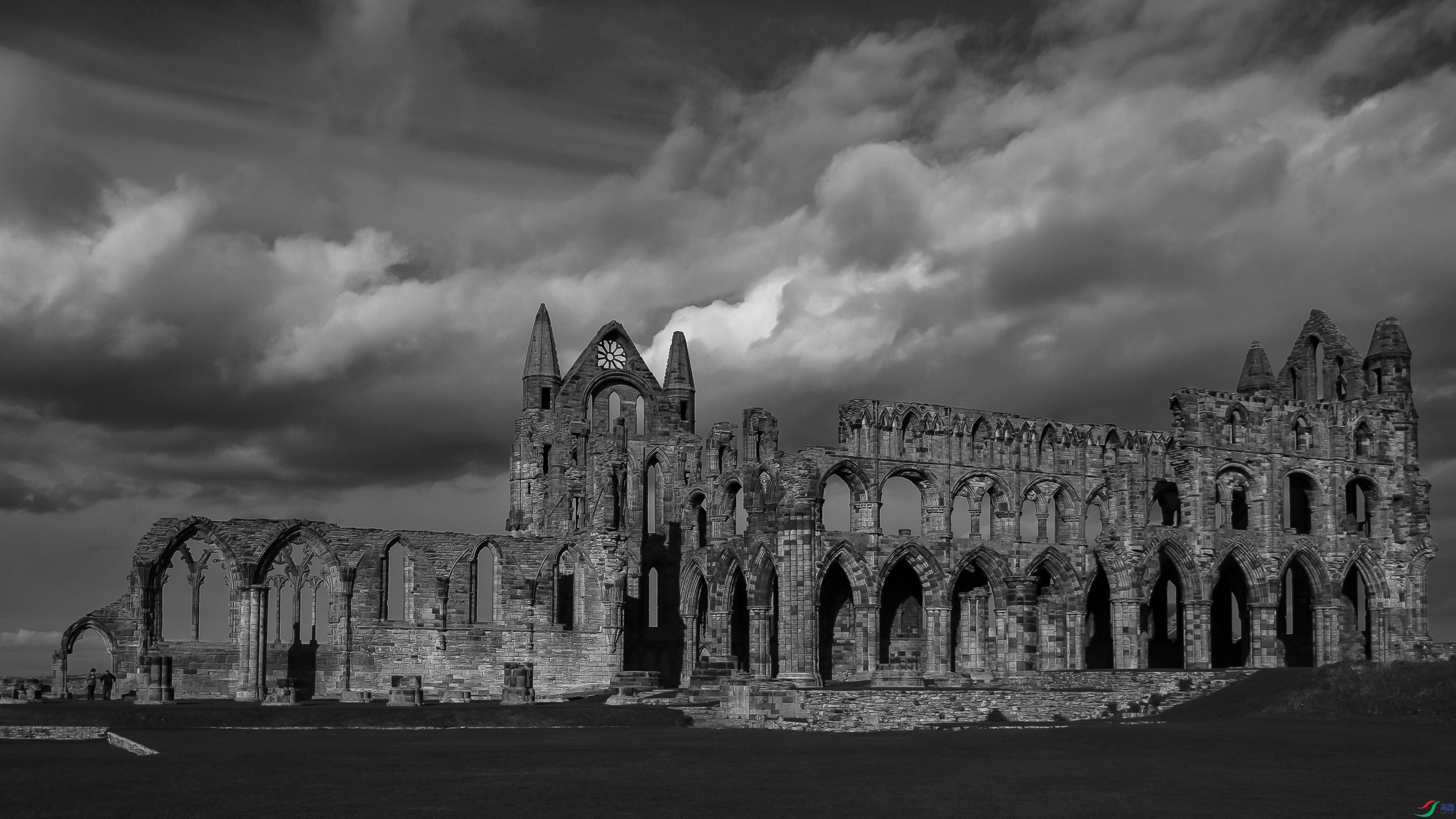 DSC_6884.jpg