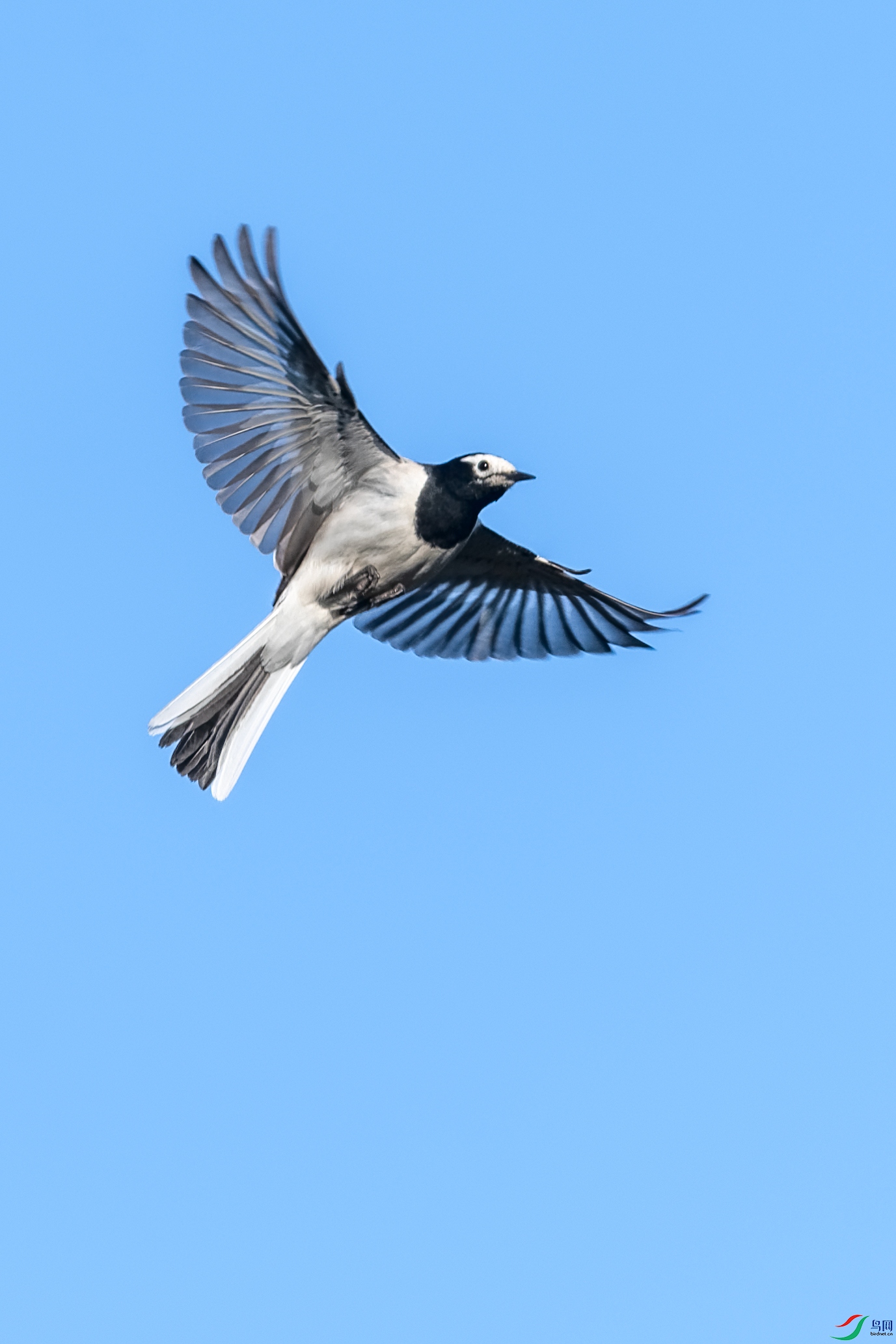 DSC_1369.jpg