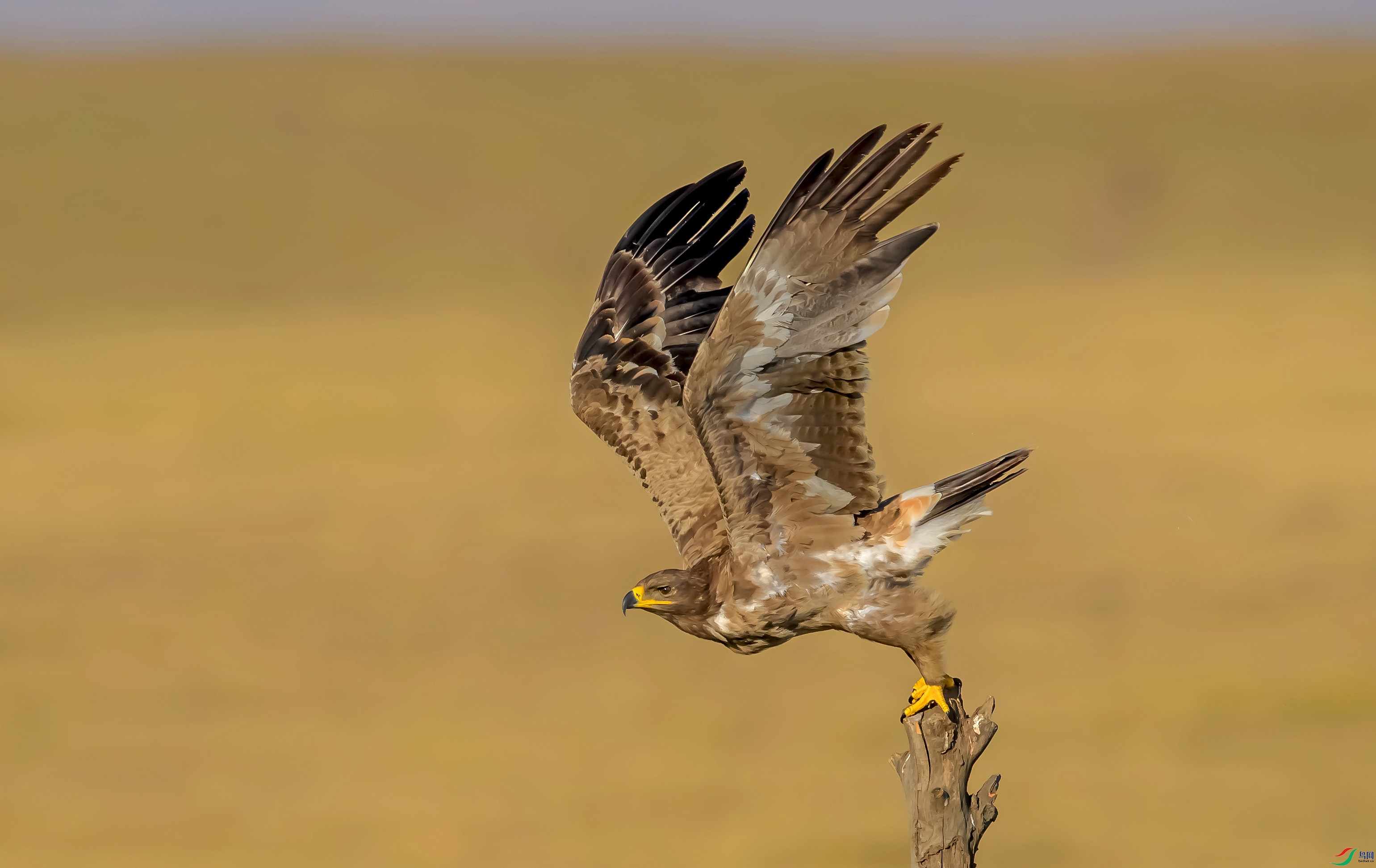 DSC_3934.jpg