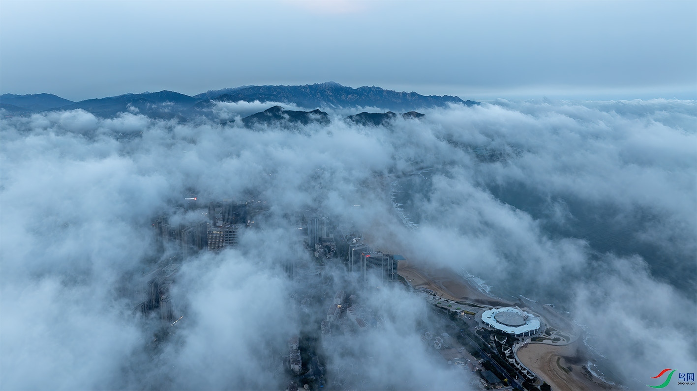 DJI_20250609190825_0103_D-HDR-����ǿ-NR ����.jpg