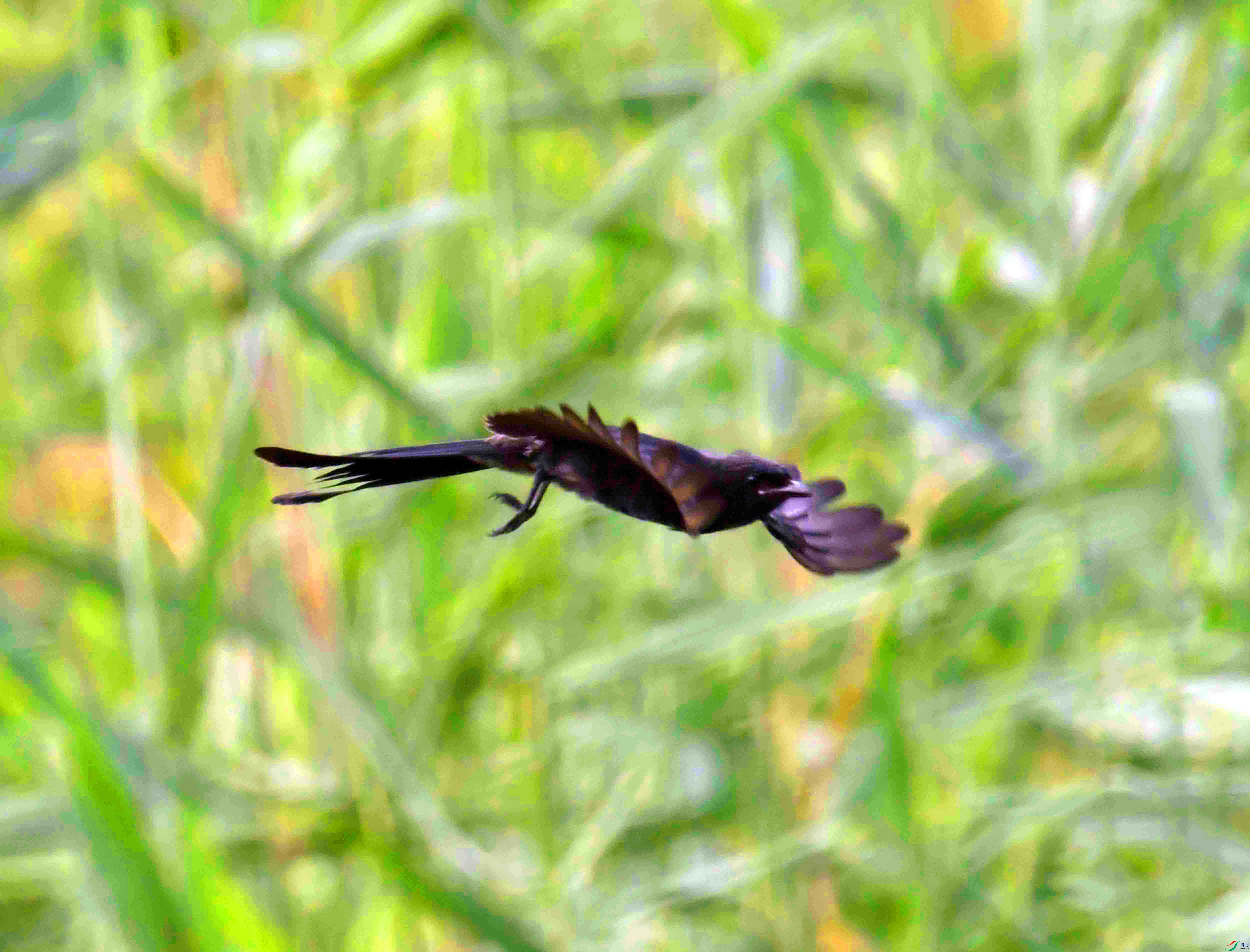 DSC_2305.JPG