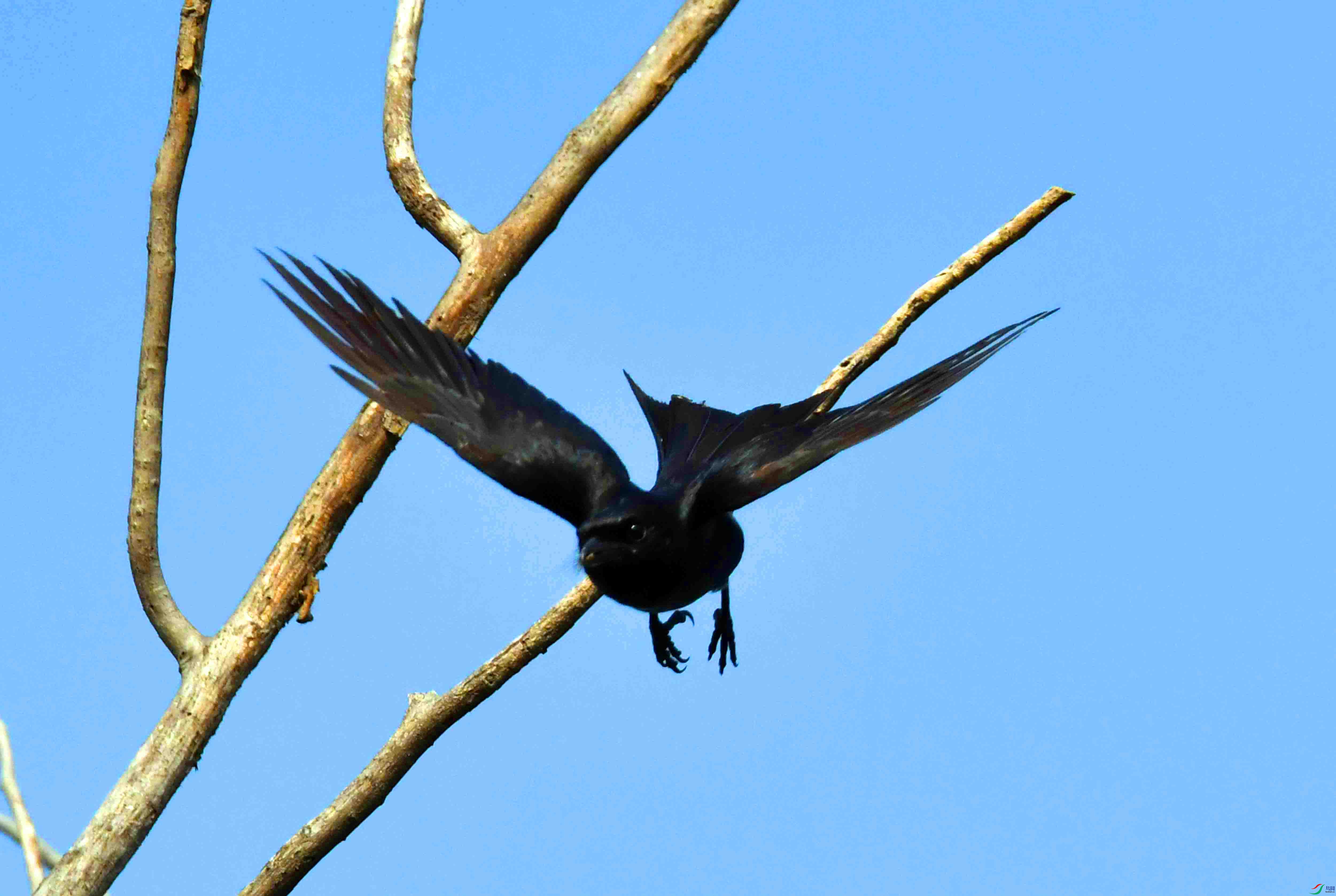 DSC_2224.JPG
