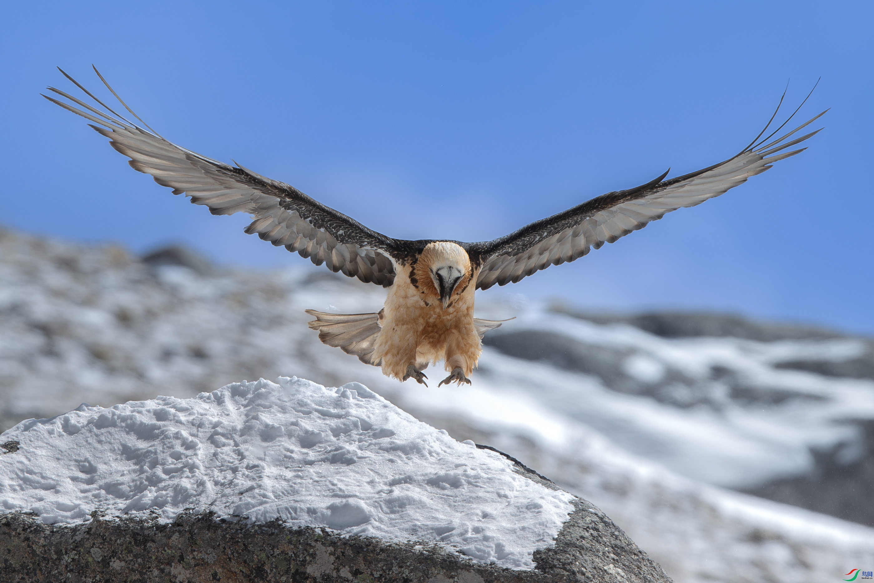 A15I9189- ����.jpg