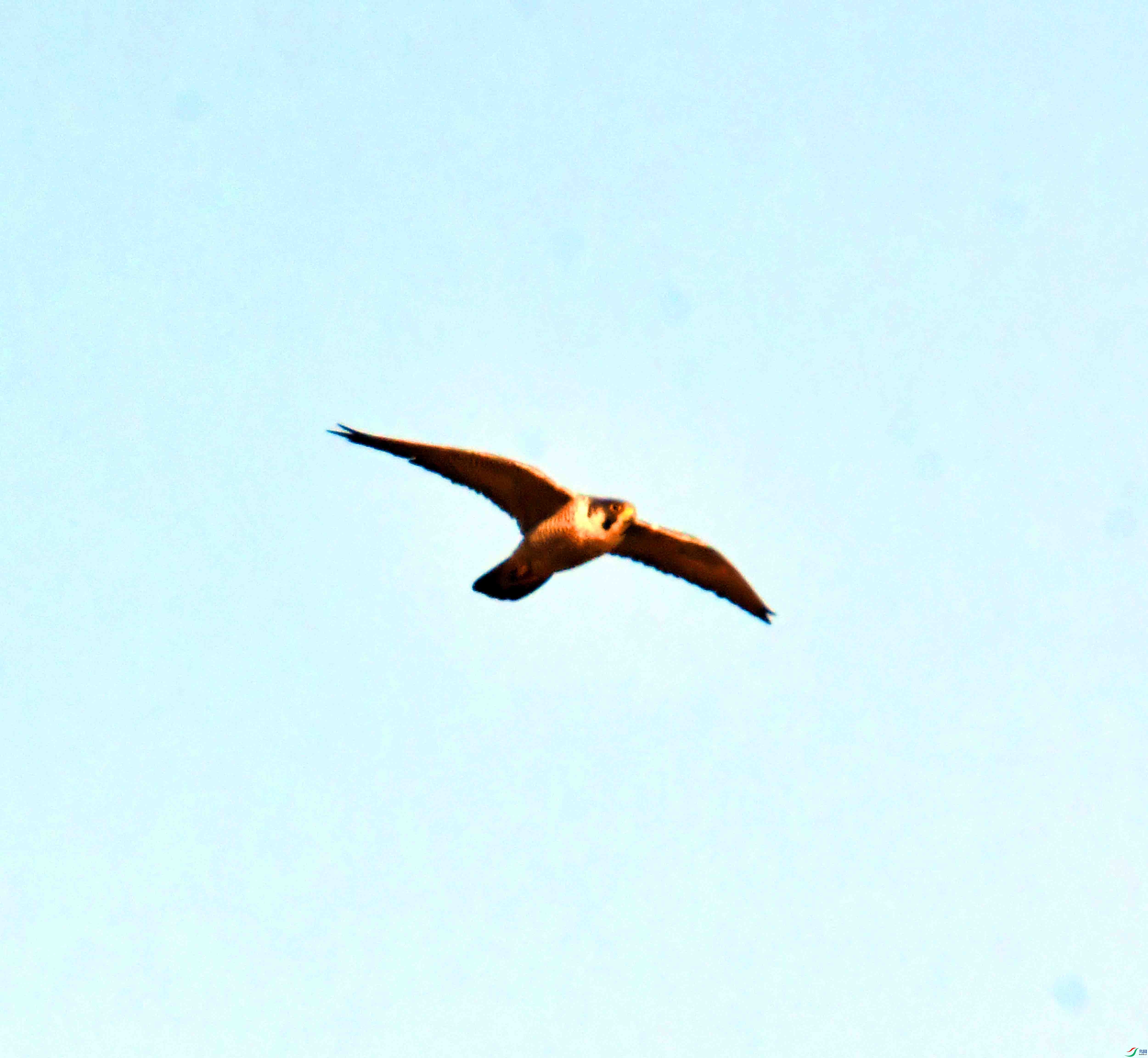 DSC_5439.JPG