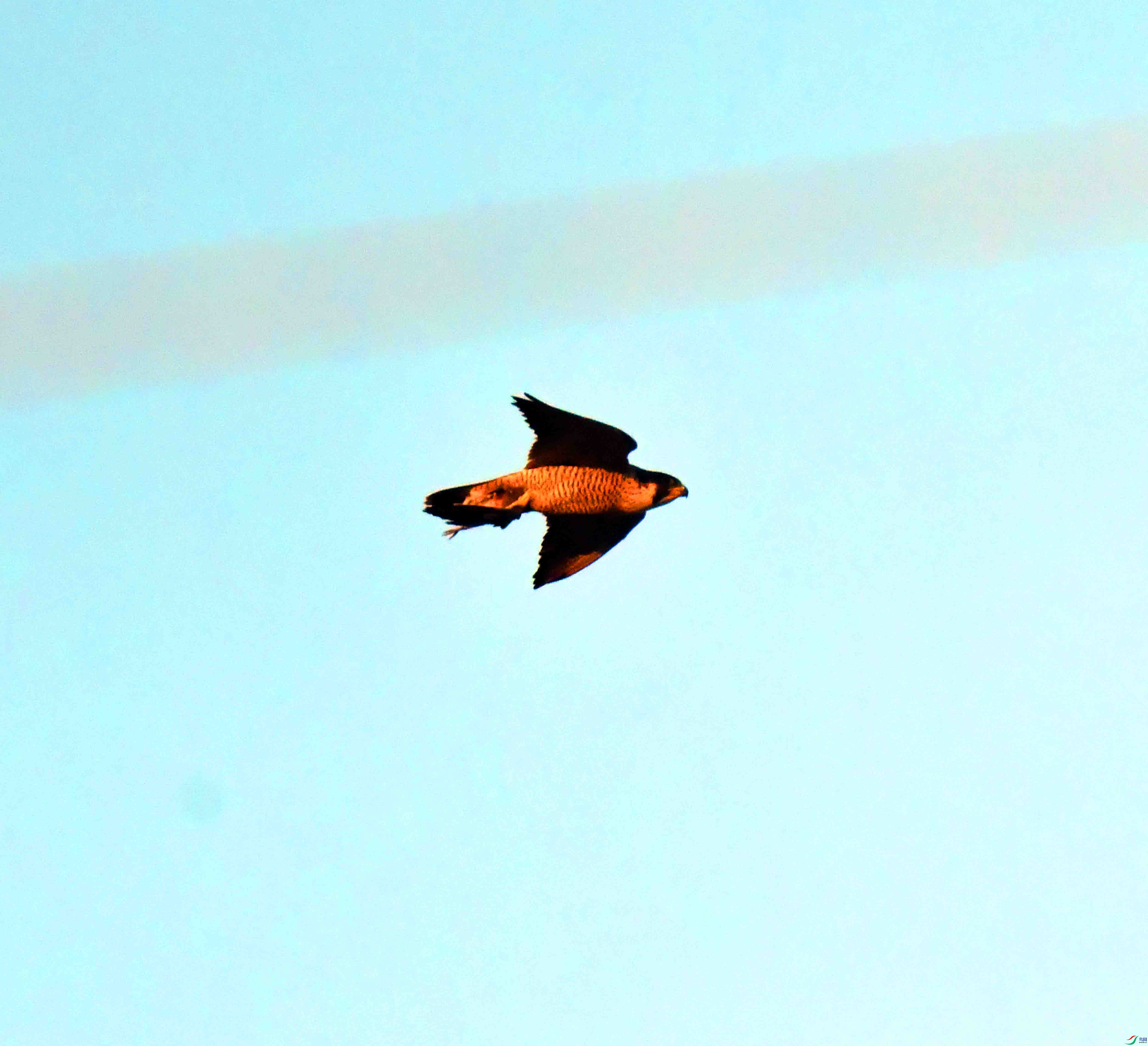 DSC_7039.JPG