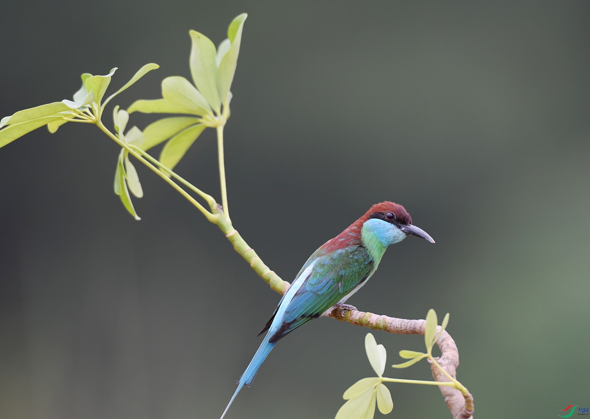 DSC_3497.jpg