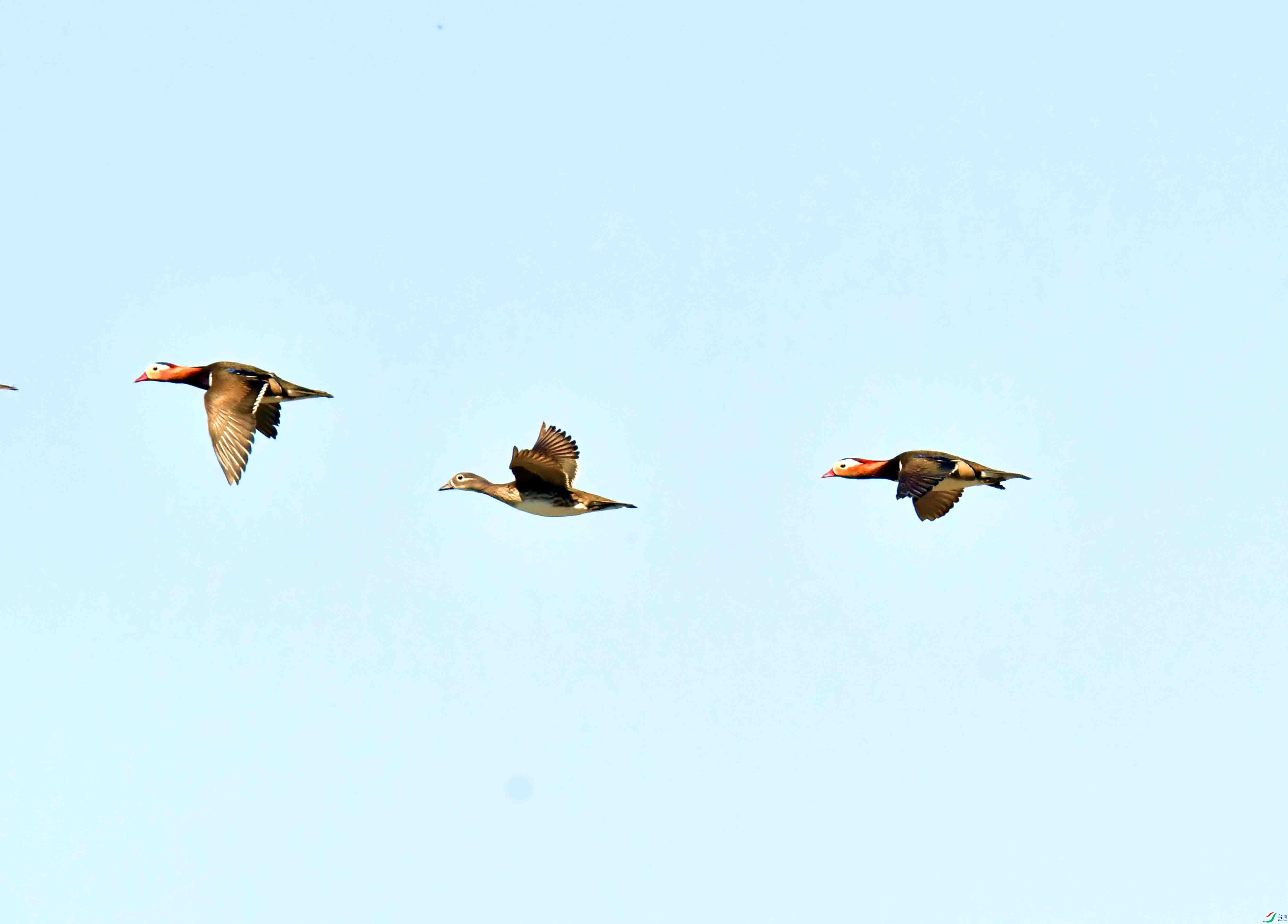 DSC_1694.JPG