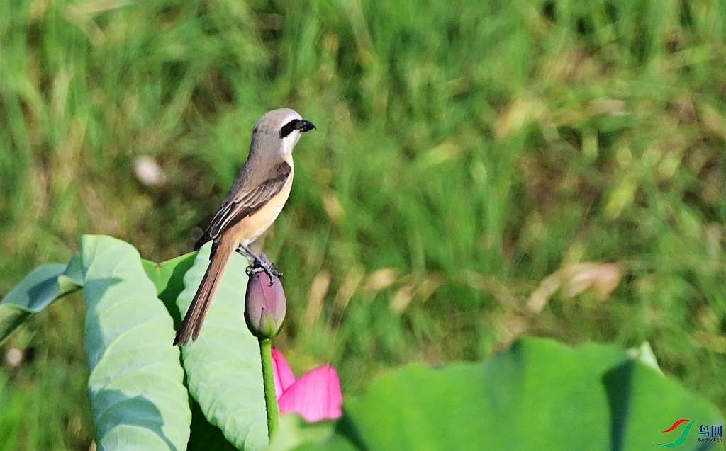 DSC_0073.JPG