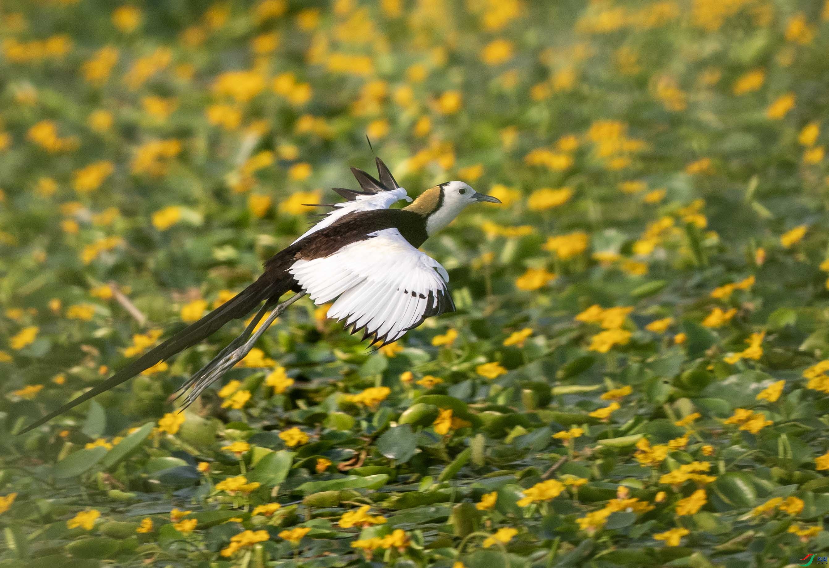 1-xtP6120429 ����.jpg