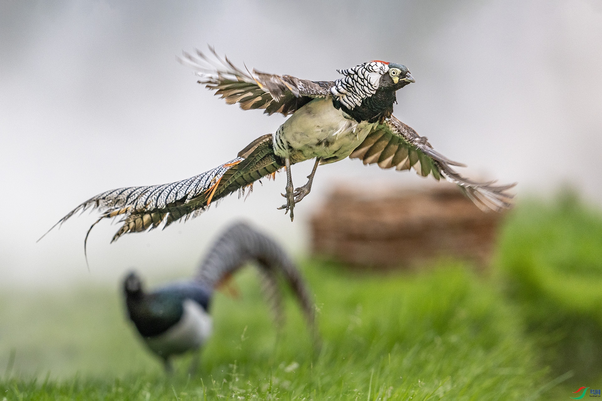 227A7773 ����.jpg