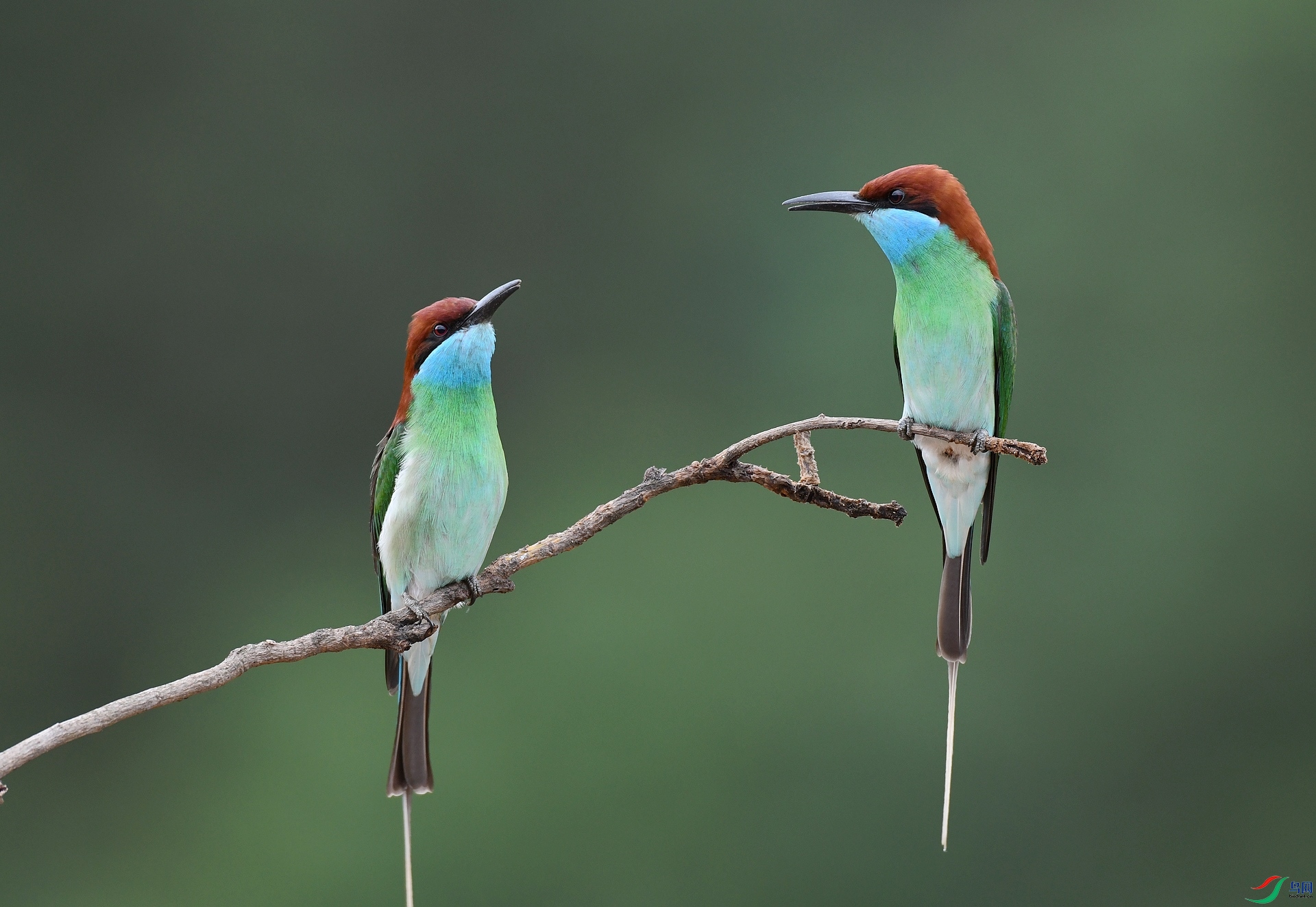 DSC_3334.jpg