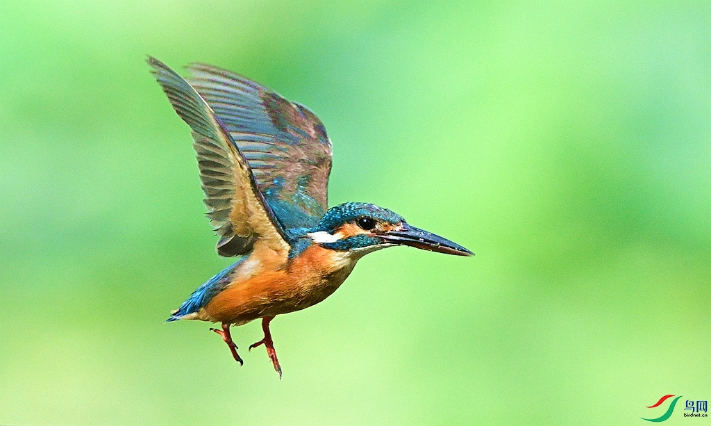 DSC_0781.JPG