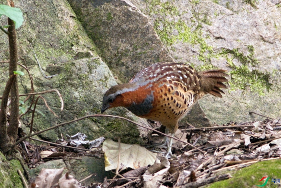 DSC_7507z_������С.jpg