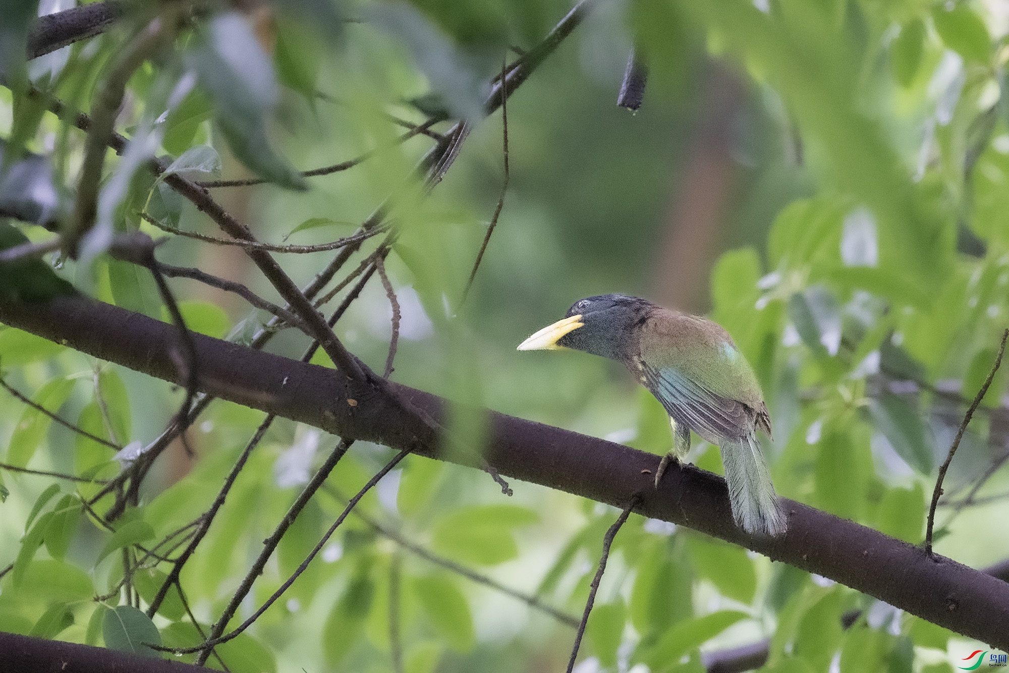 DSC_7325.jpg