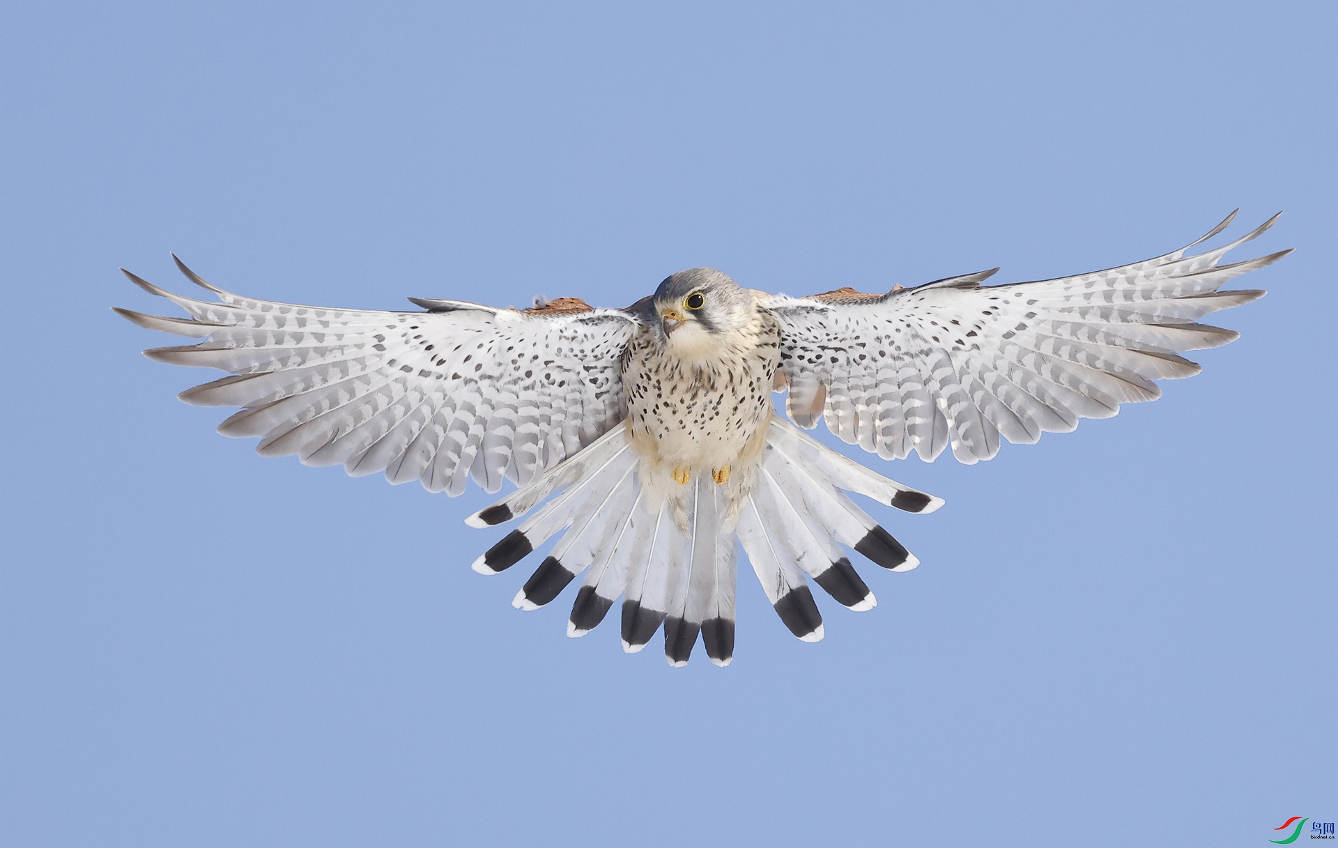 _F5A1252.JPG