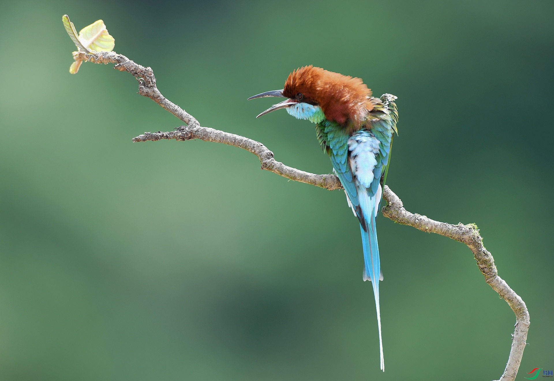 DSC_7640.jpg