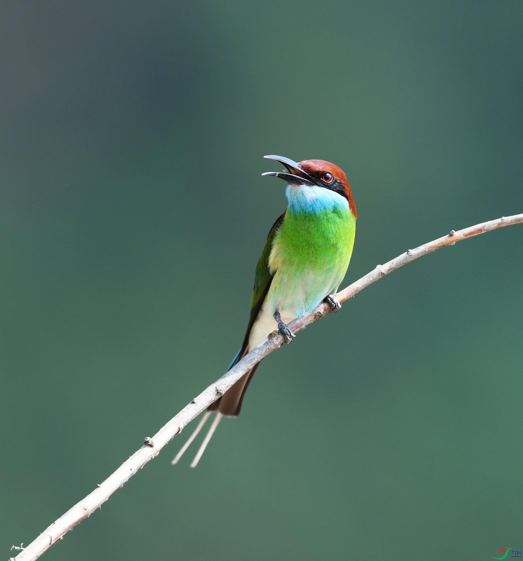 DSC_8442.jpg