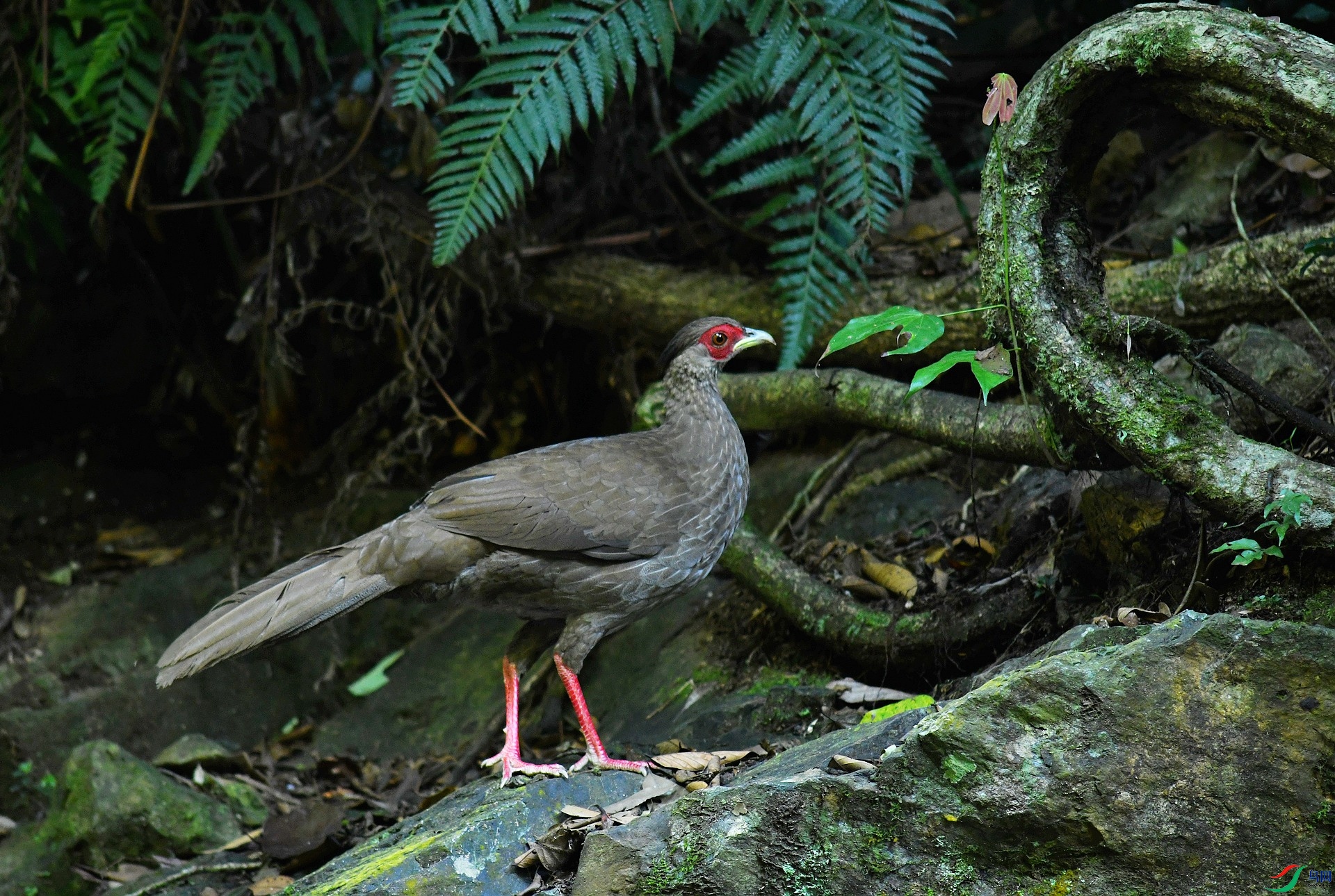 DSC_6555.jpg