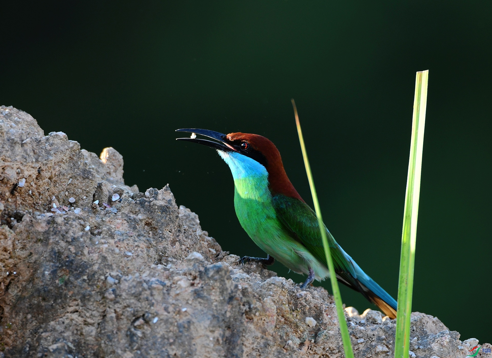 DSC_6562.jpg