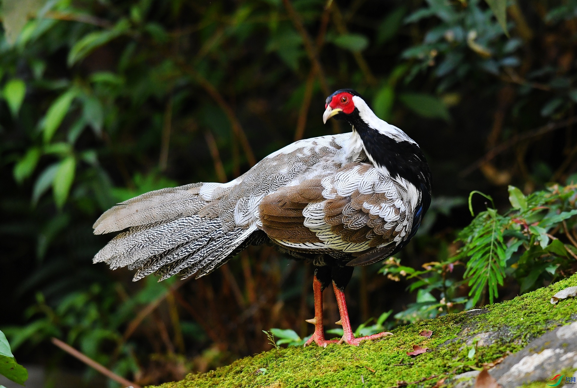 DSC_6785.jpg