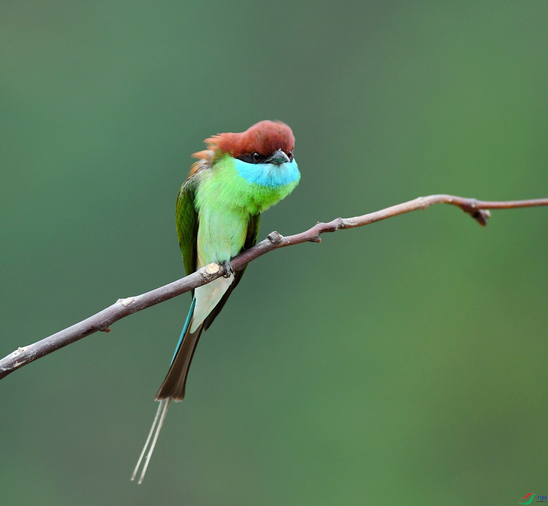 DSC_7642.jpg