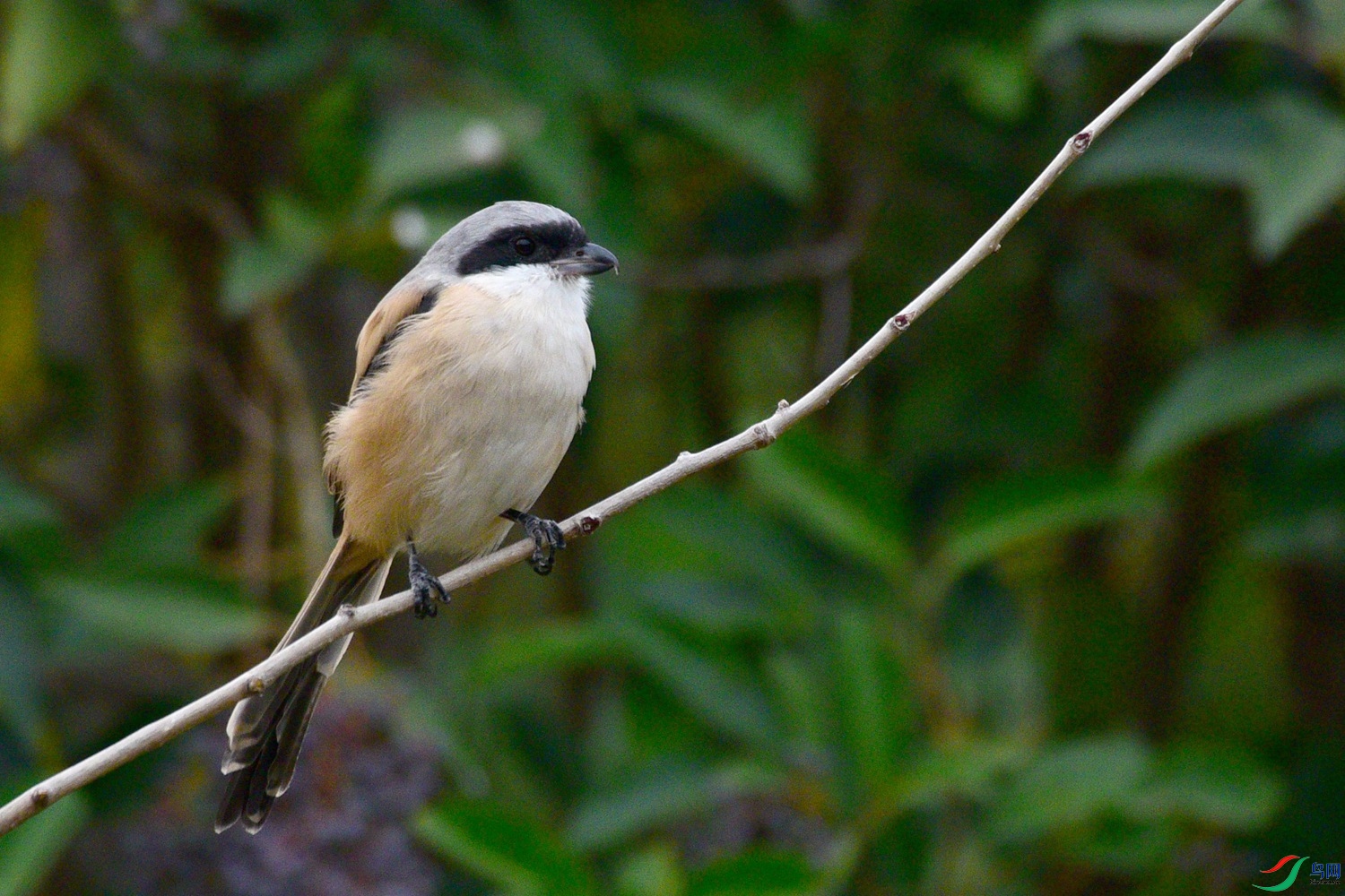 DSC_3562.JPG