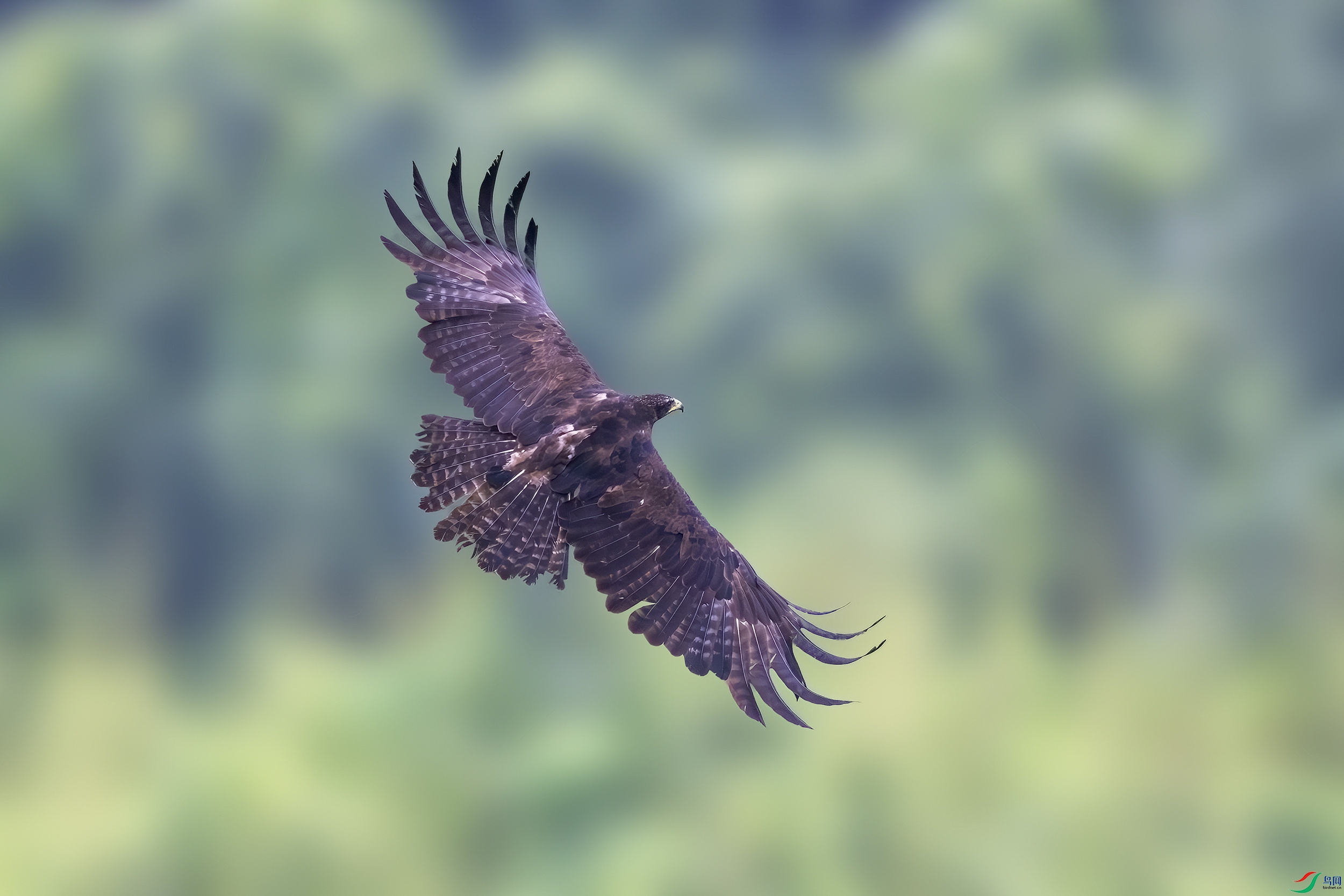 _DSC9080 ����_���� ����.jpg