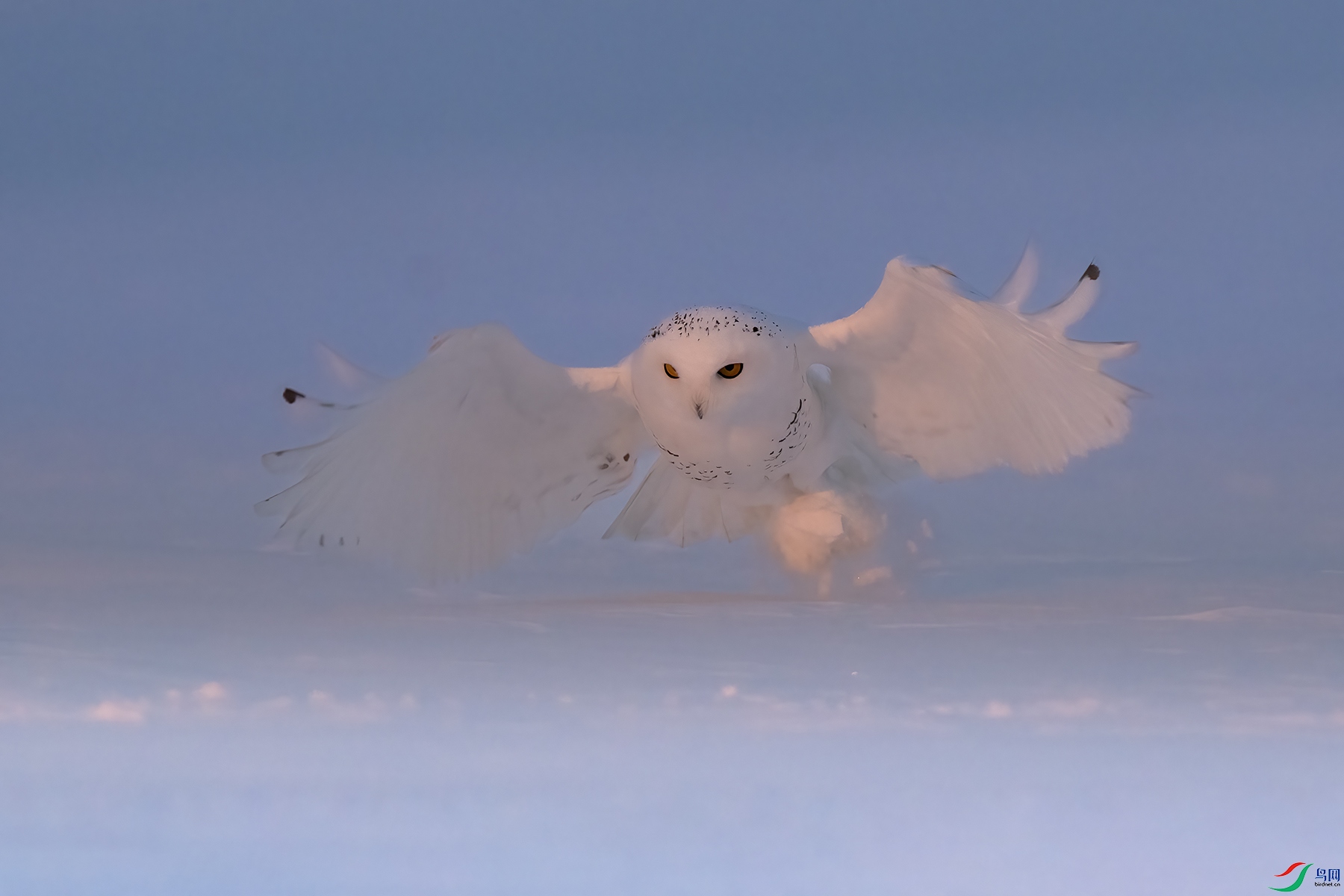 _DSC9426 ����.jpg