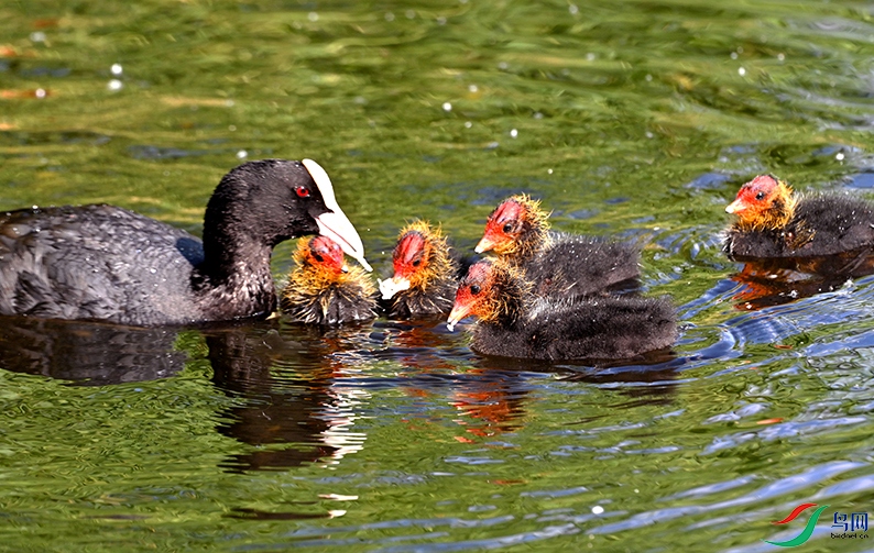 2.DSC_5521M.jpg