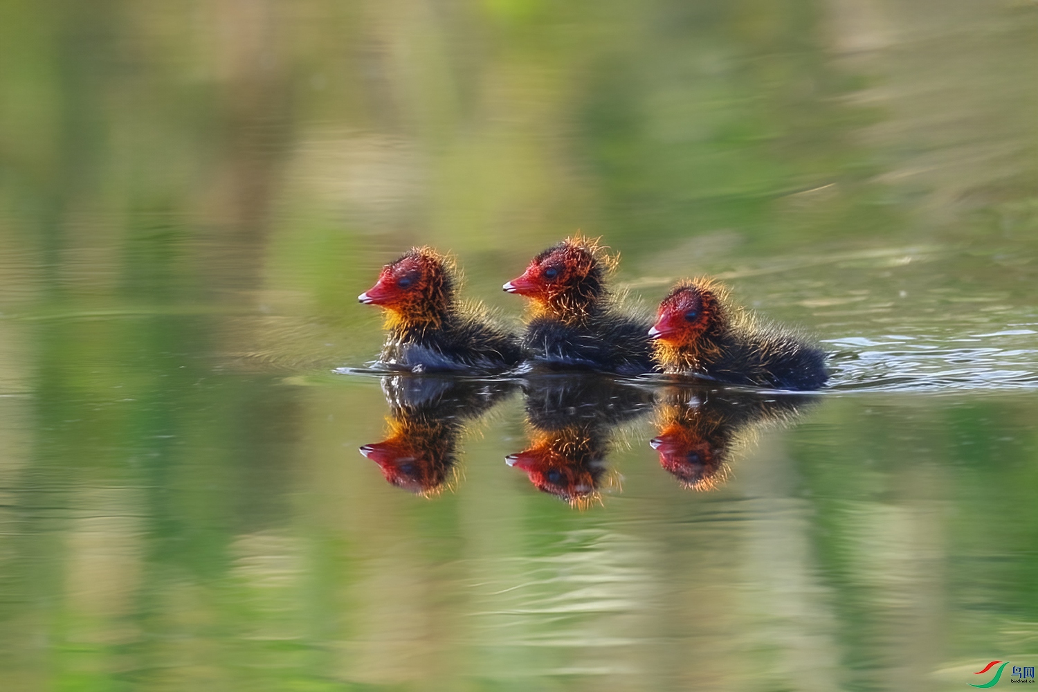 6��11�� (6)(3) ����.jpg