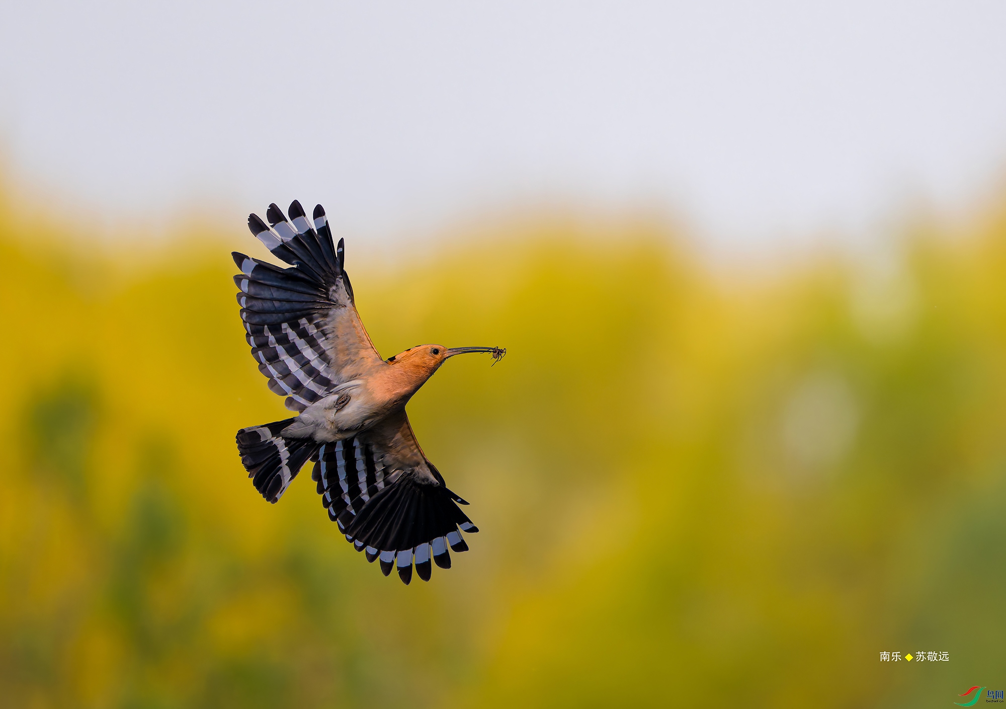 20250427-_DSC0198С.jpg