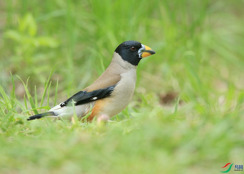 D72T9322.JPG