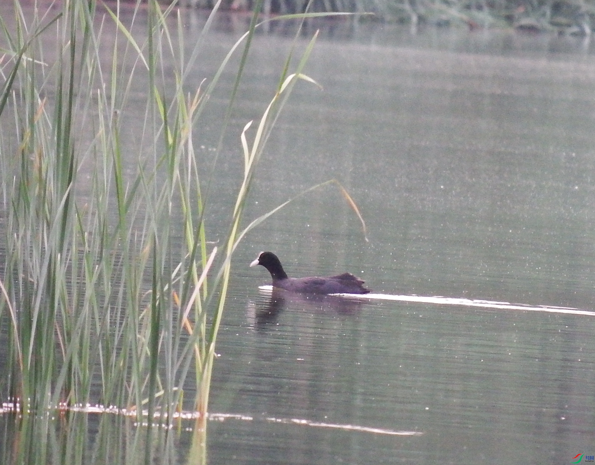 DSCF9069.JPG