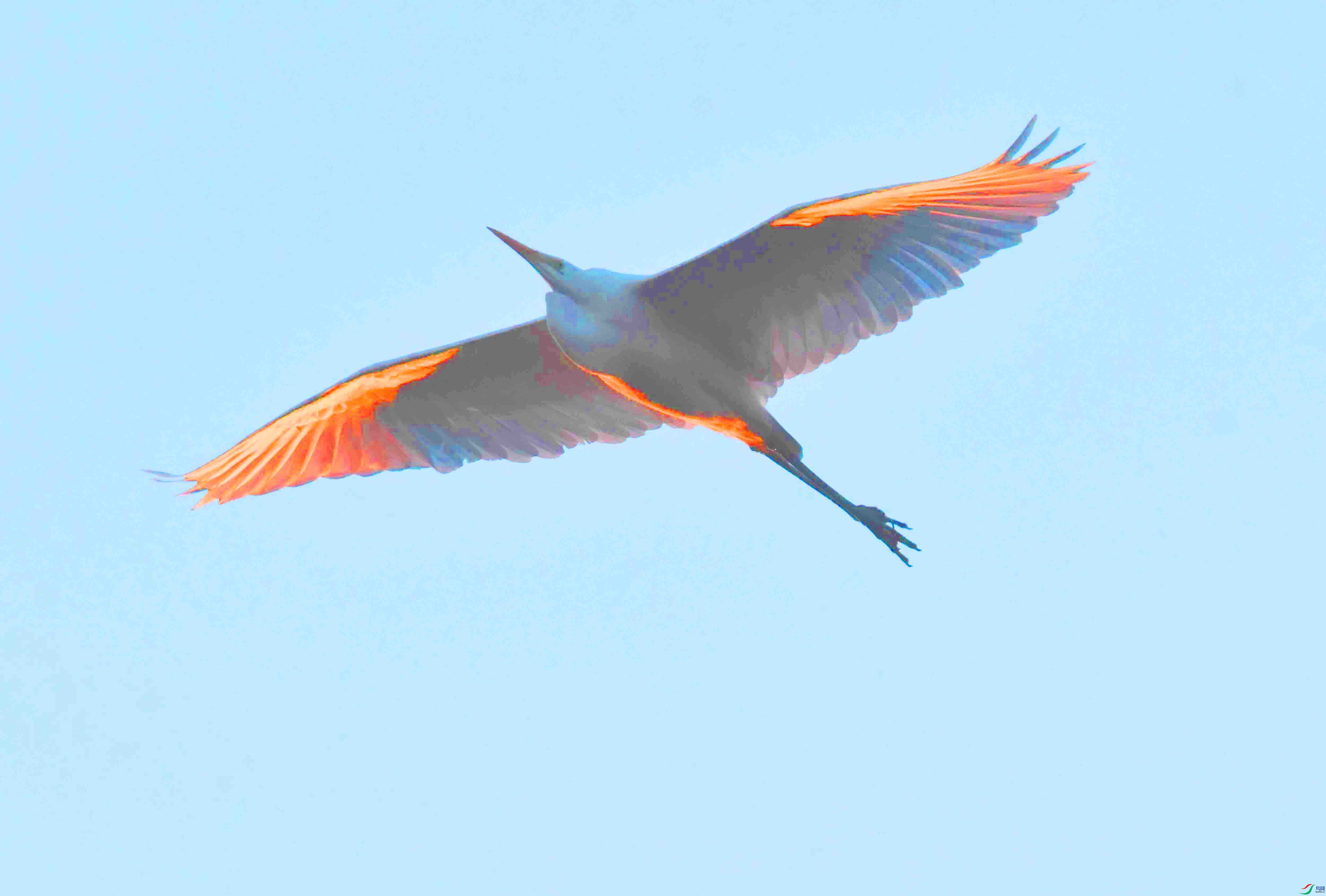 DSC_5335.JPG