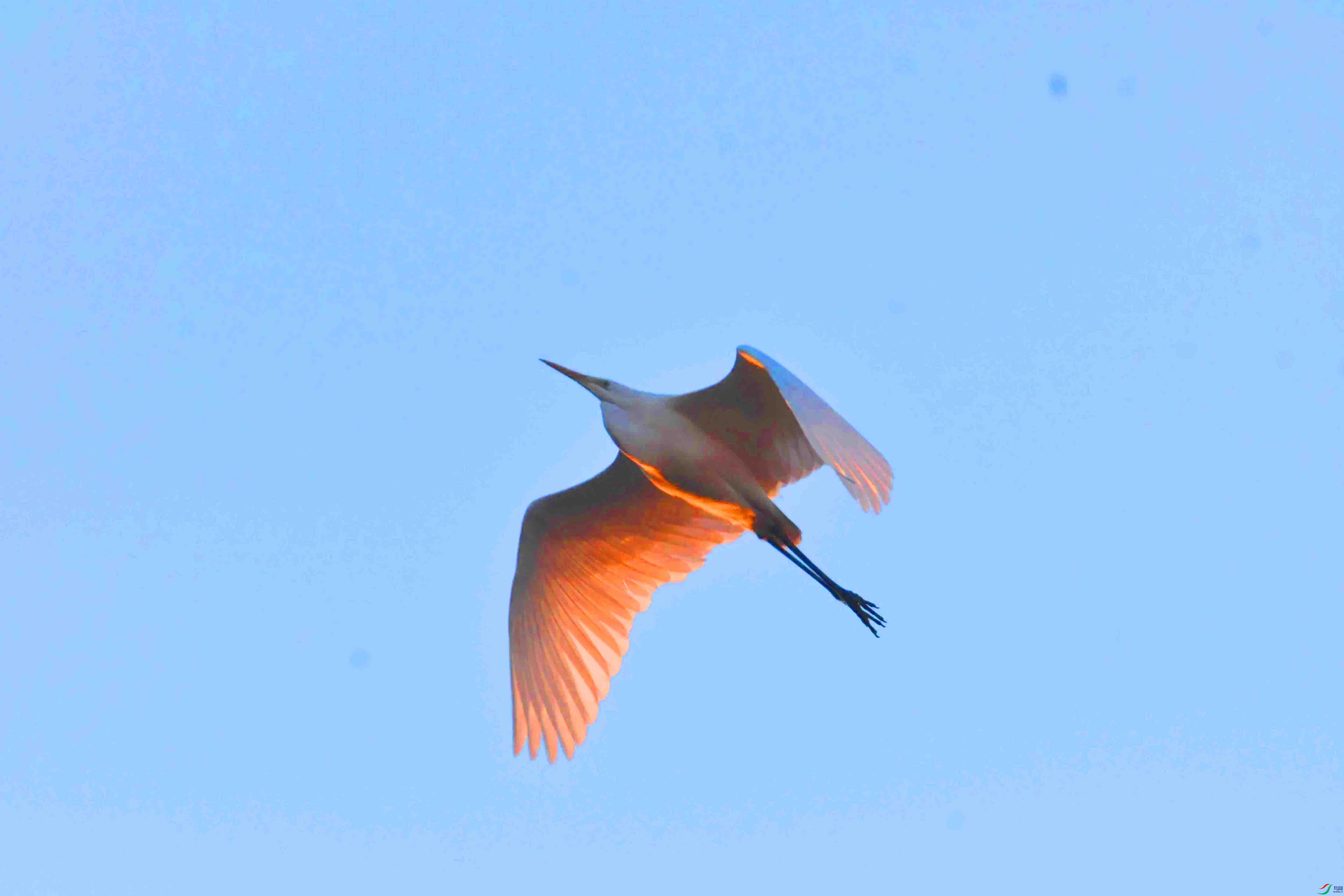 DSC_5337.JPG