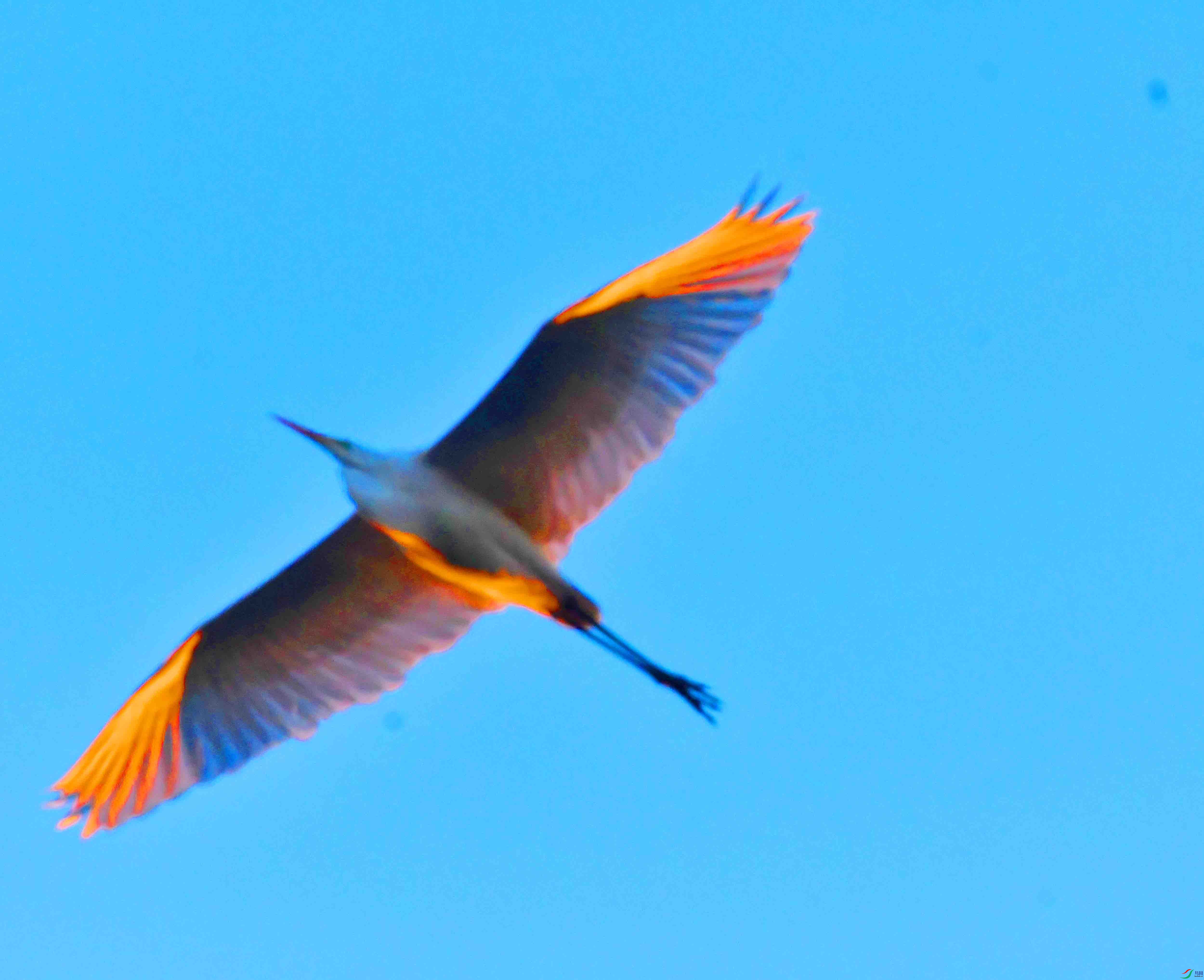 DSC_5339.JPG