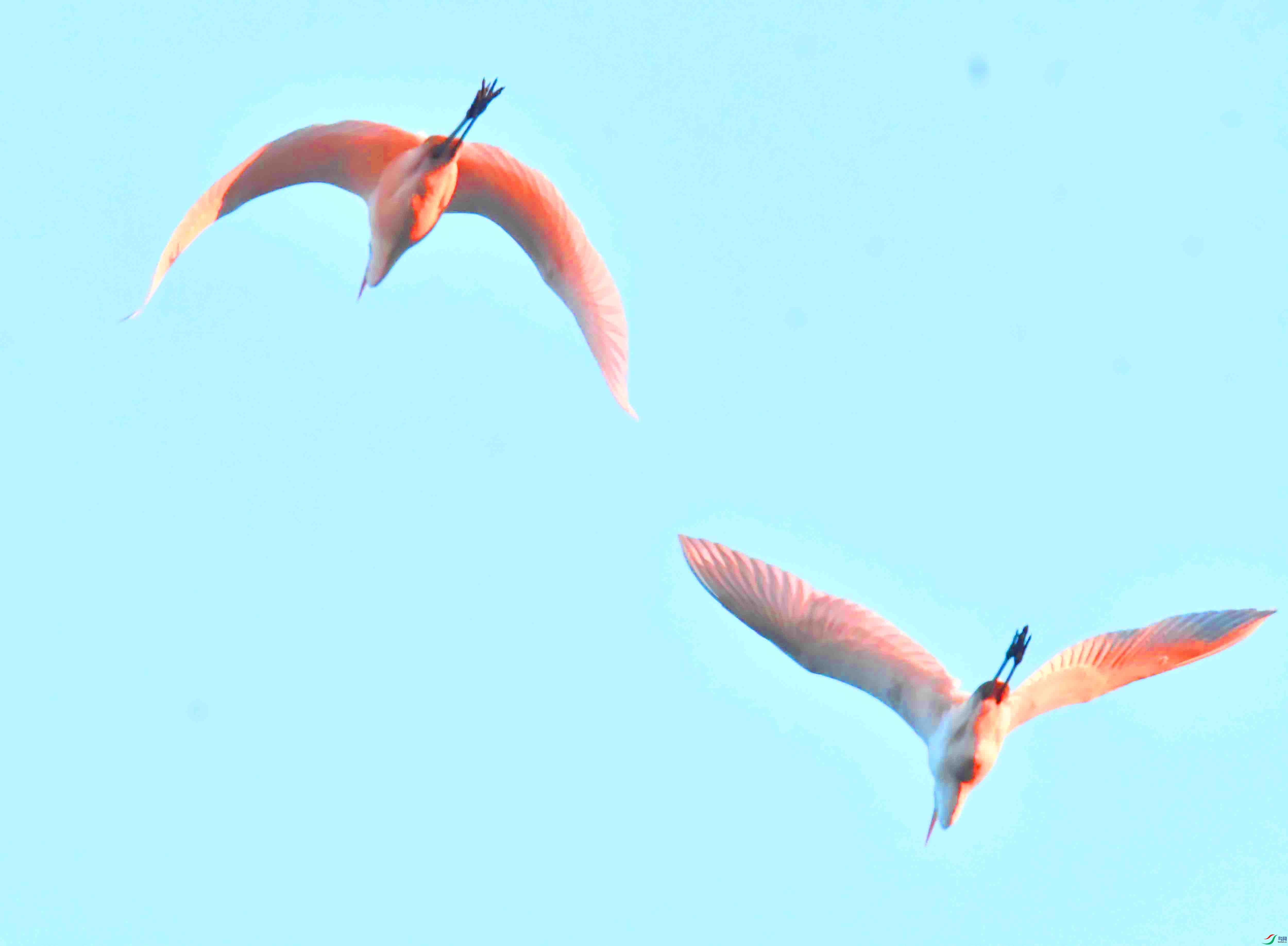 DSC_5346.JPG