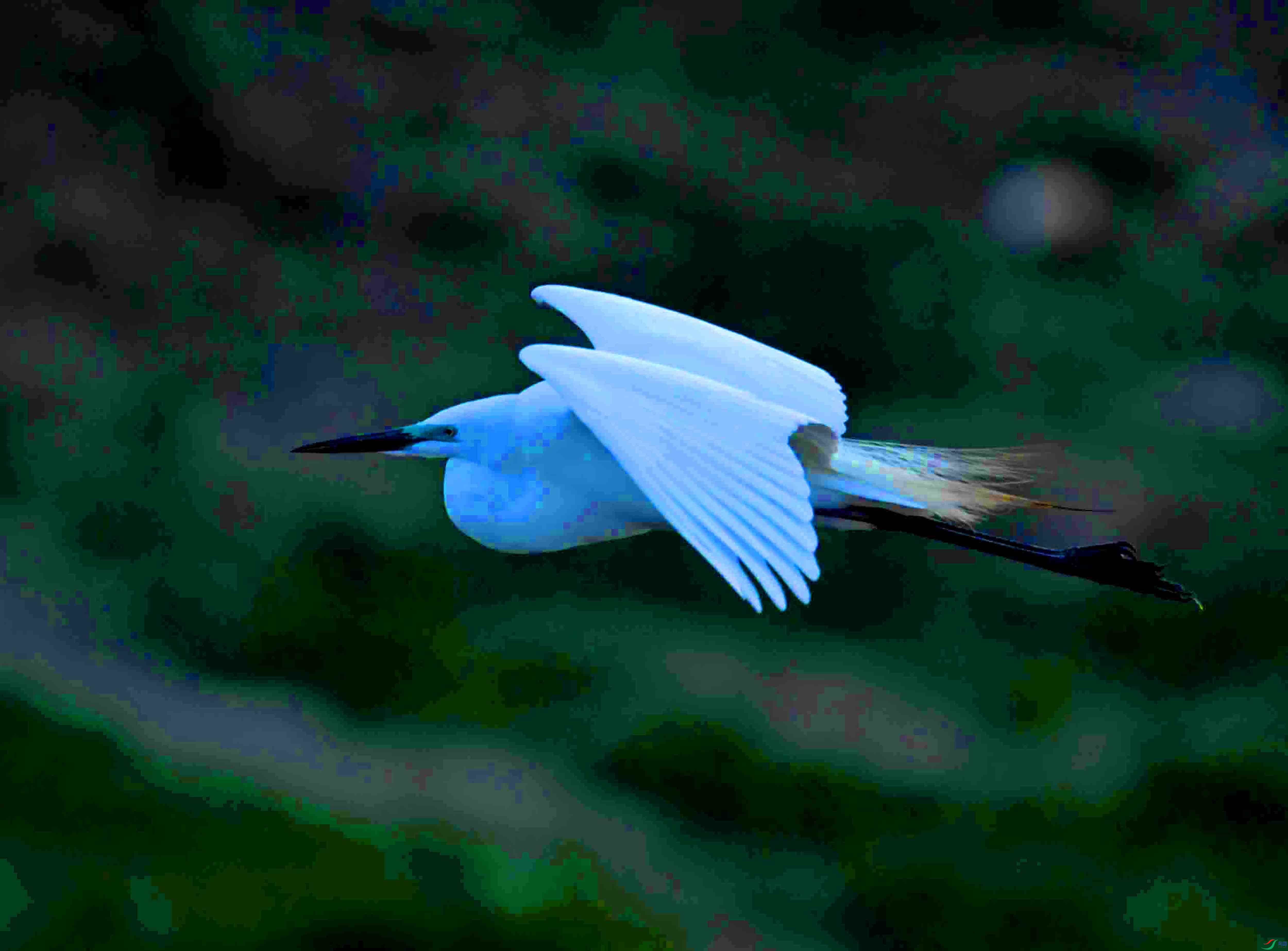 DSC_7256.JPG