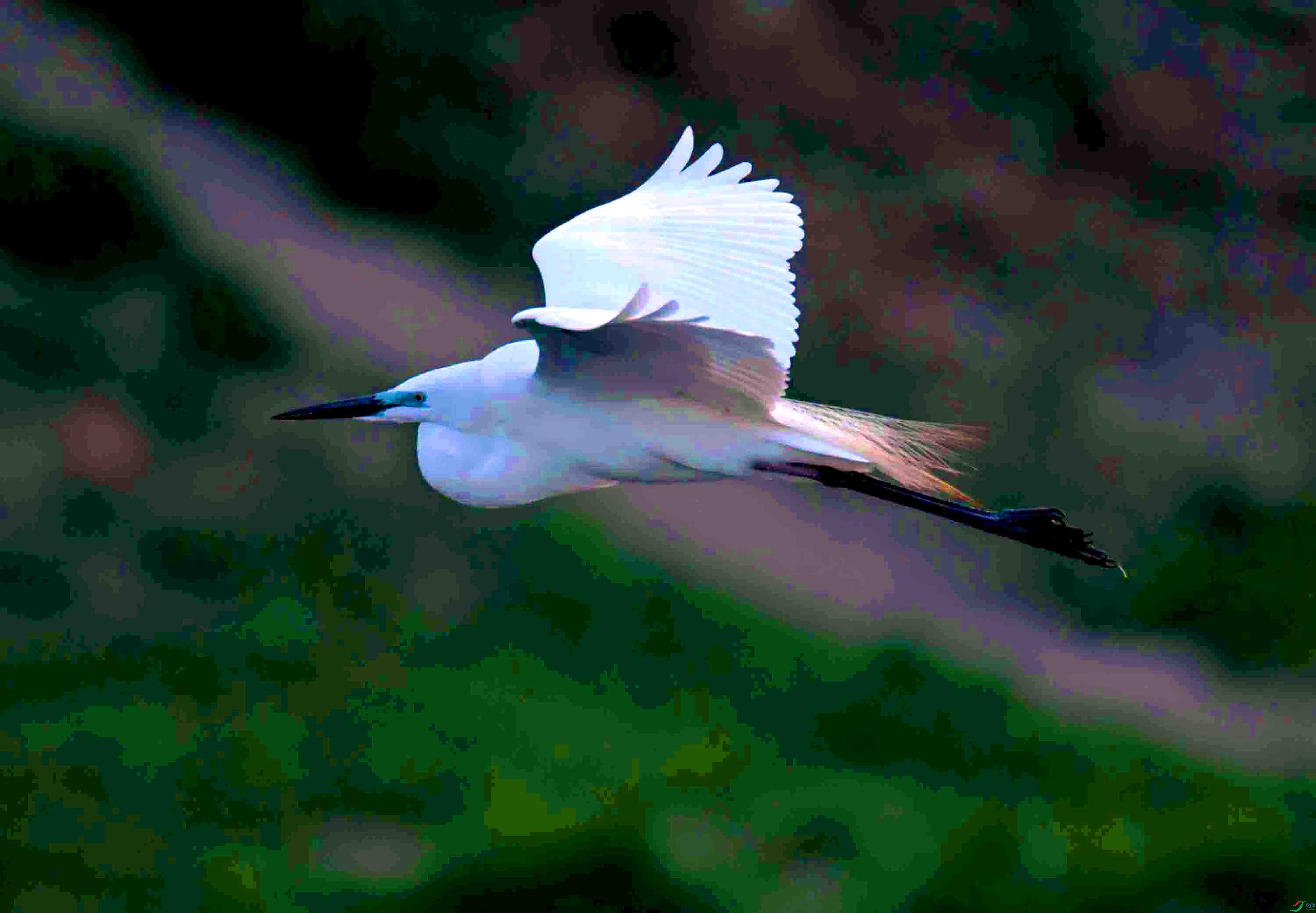 DSC_7257.JPG