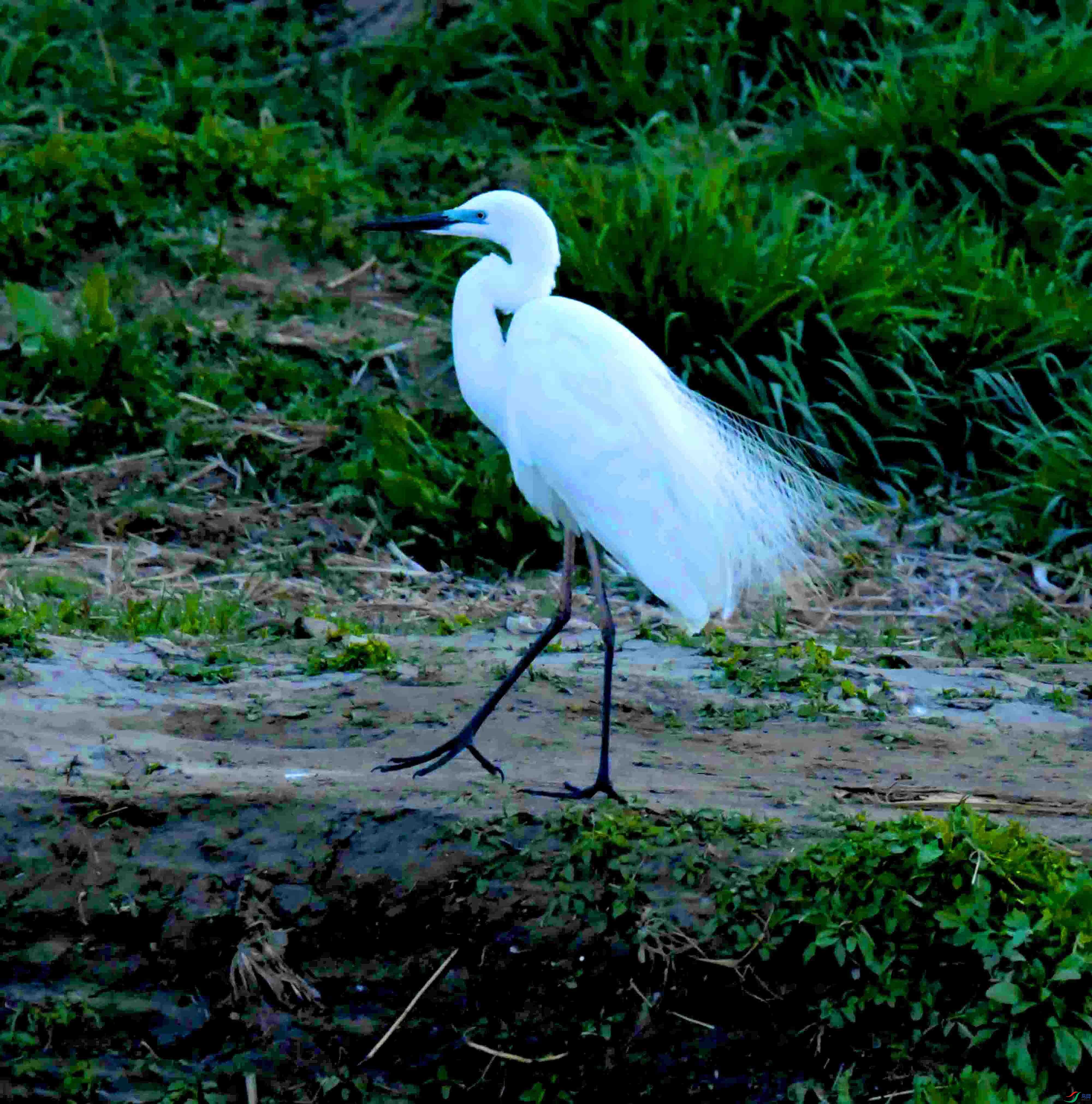 DSC_7262.JPG