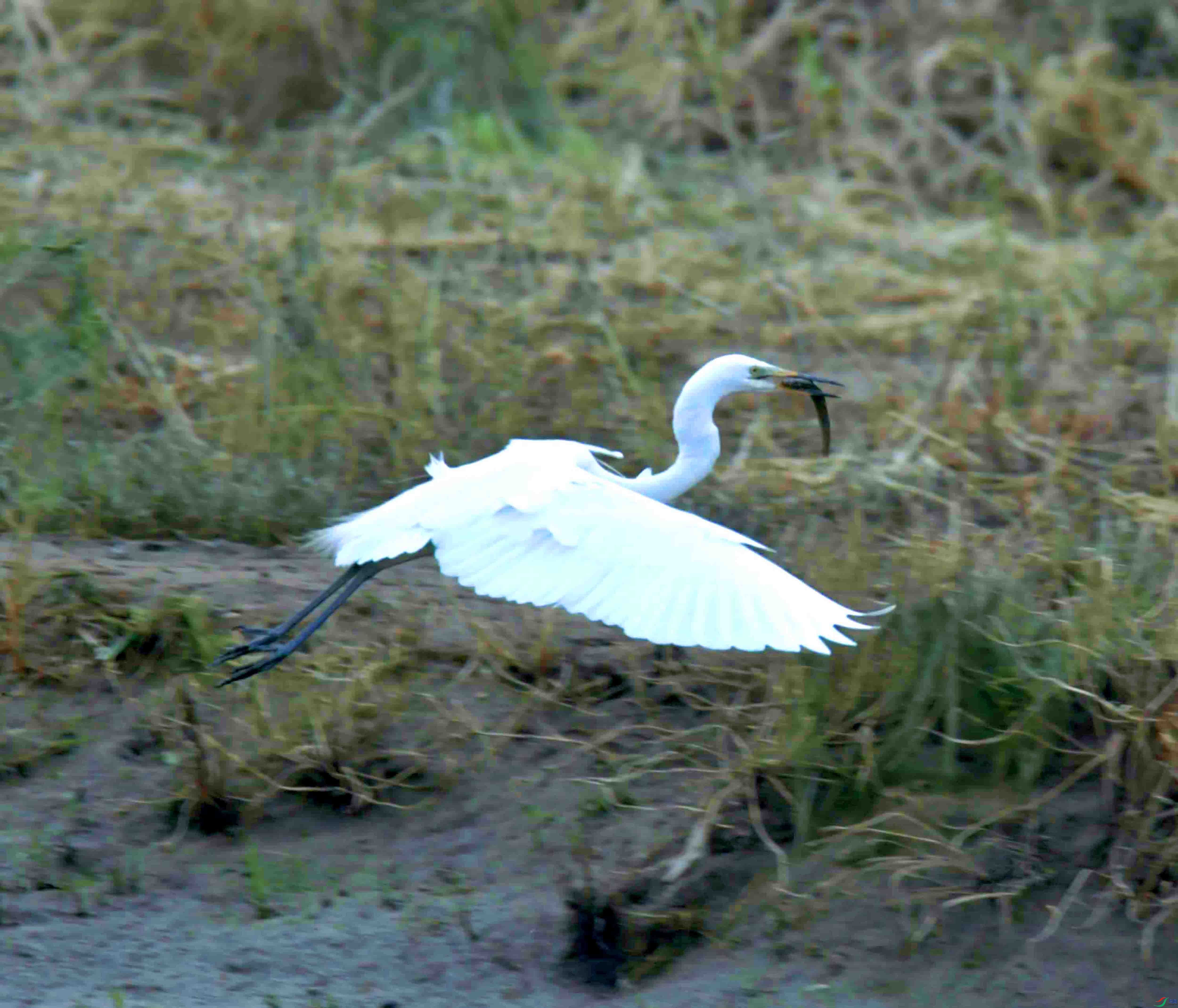 DSC_7282.JPG