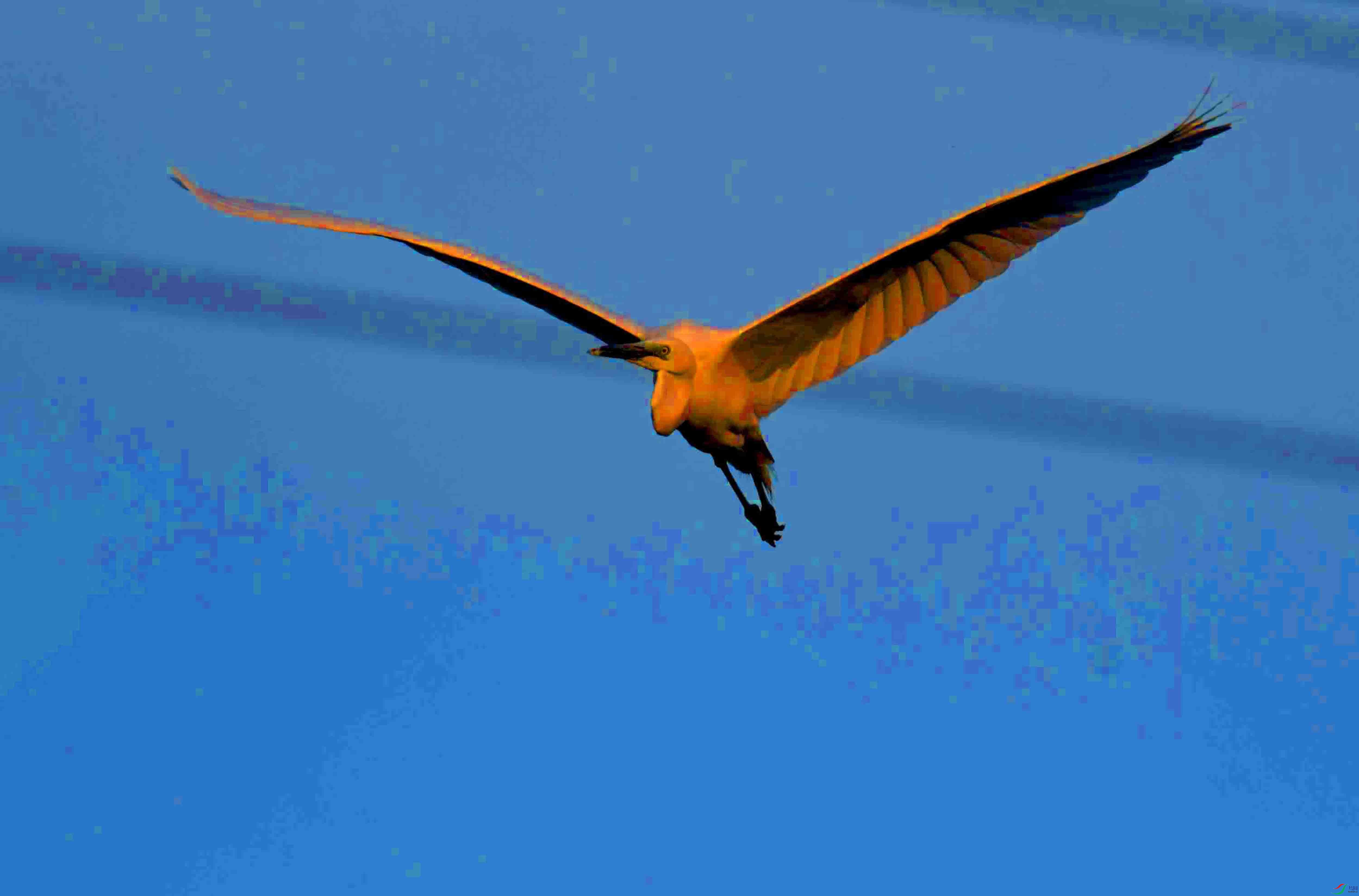 DSC_7307.JPG
