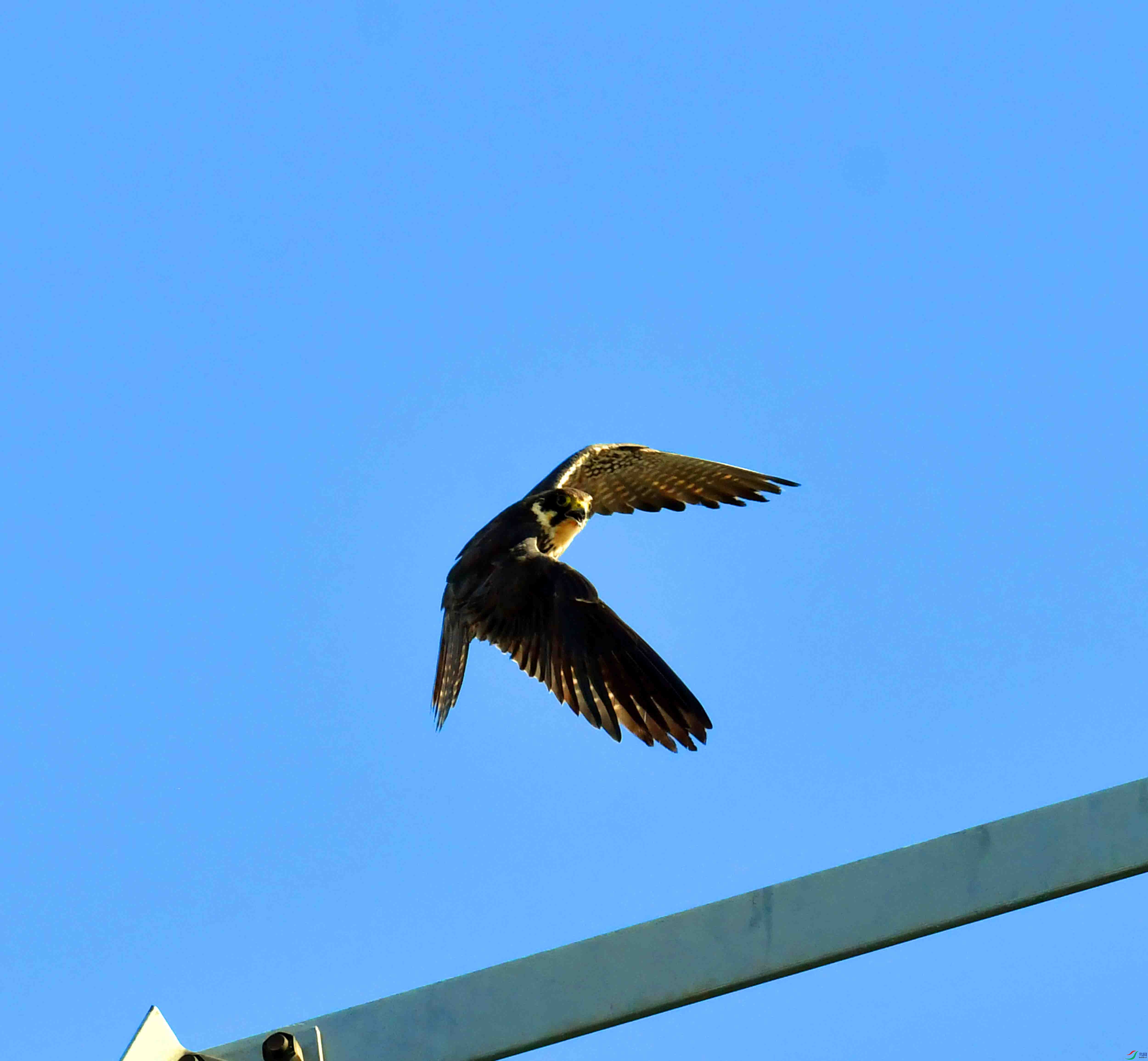 DSC_4994.JPG