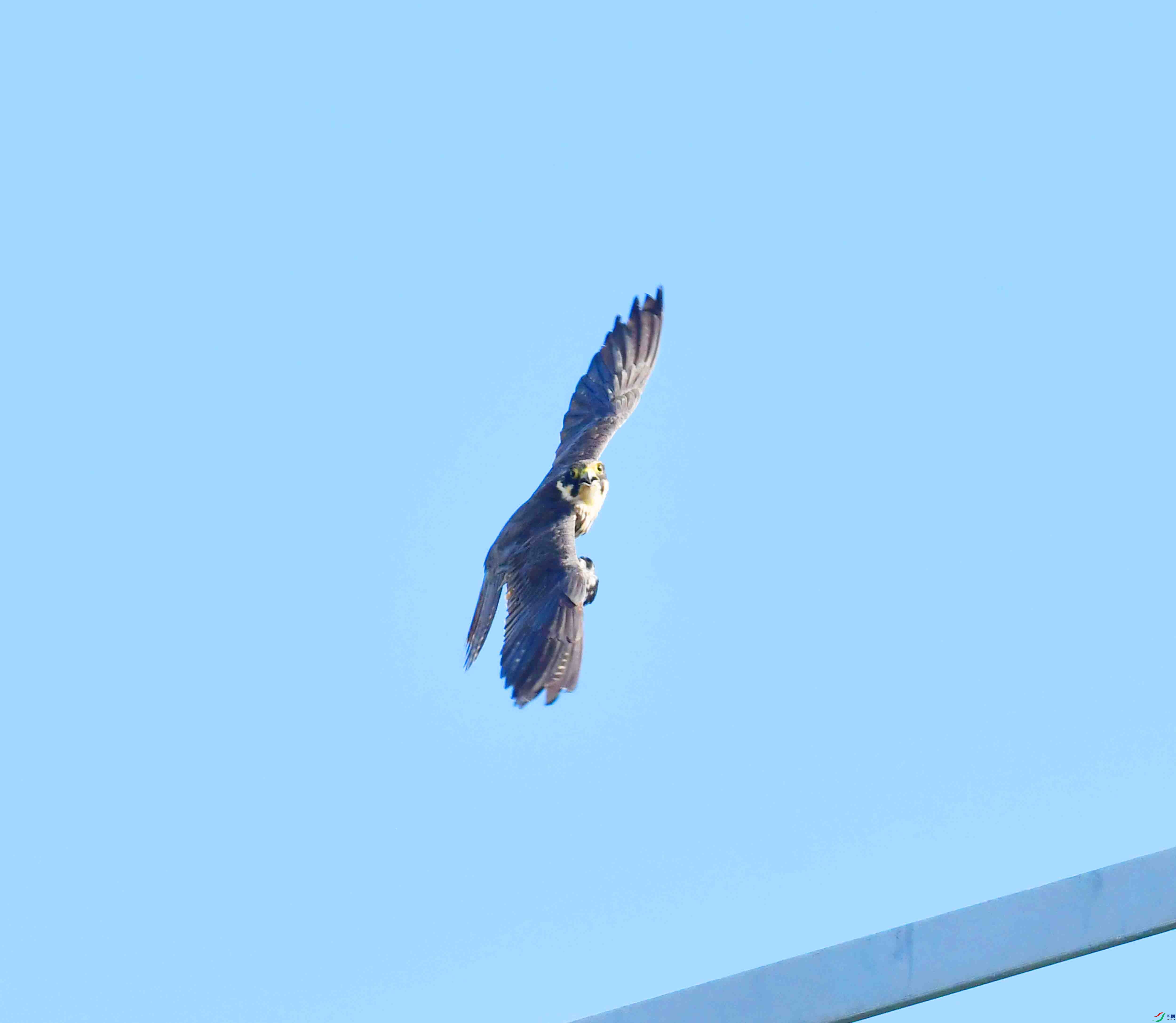 DSC_4995.JPG