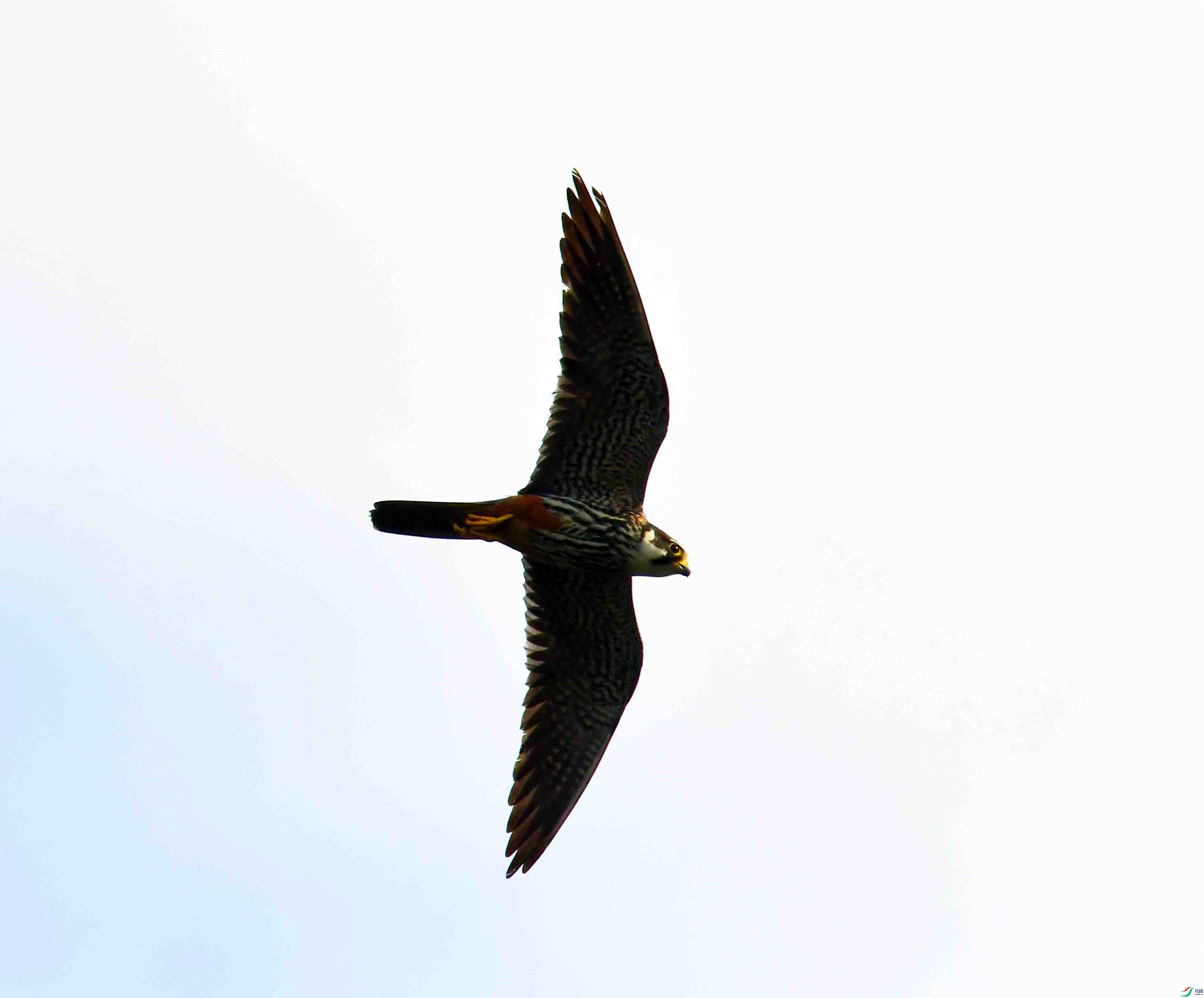 DSC_5015.JPG