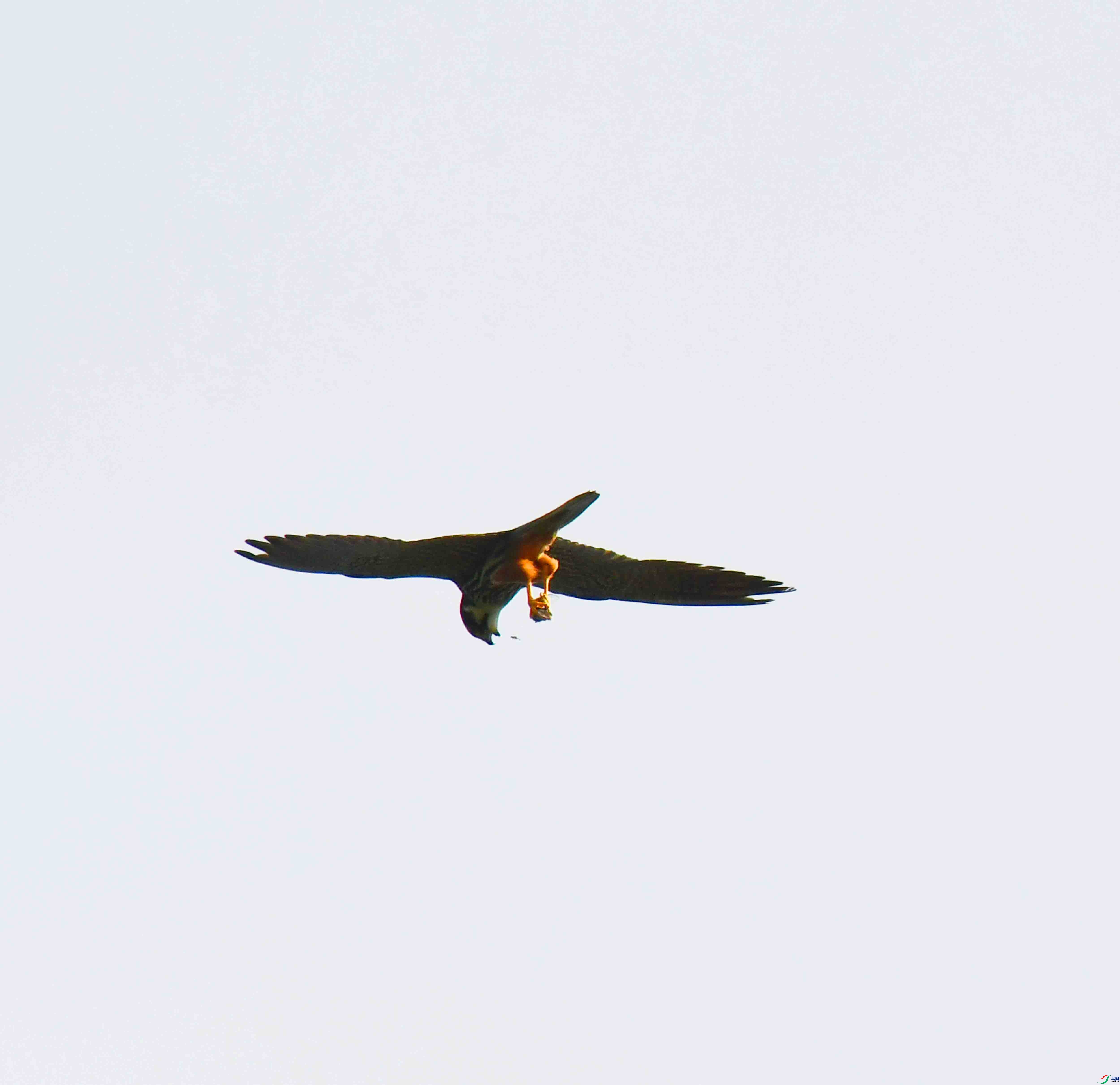 DSC_5016.JPG