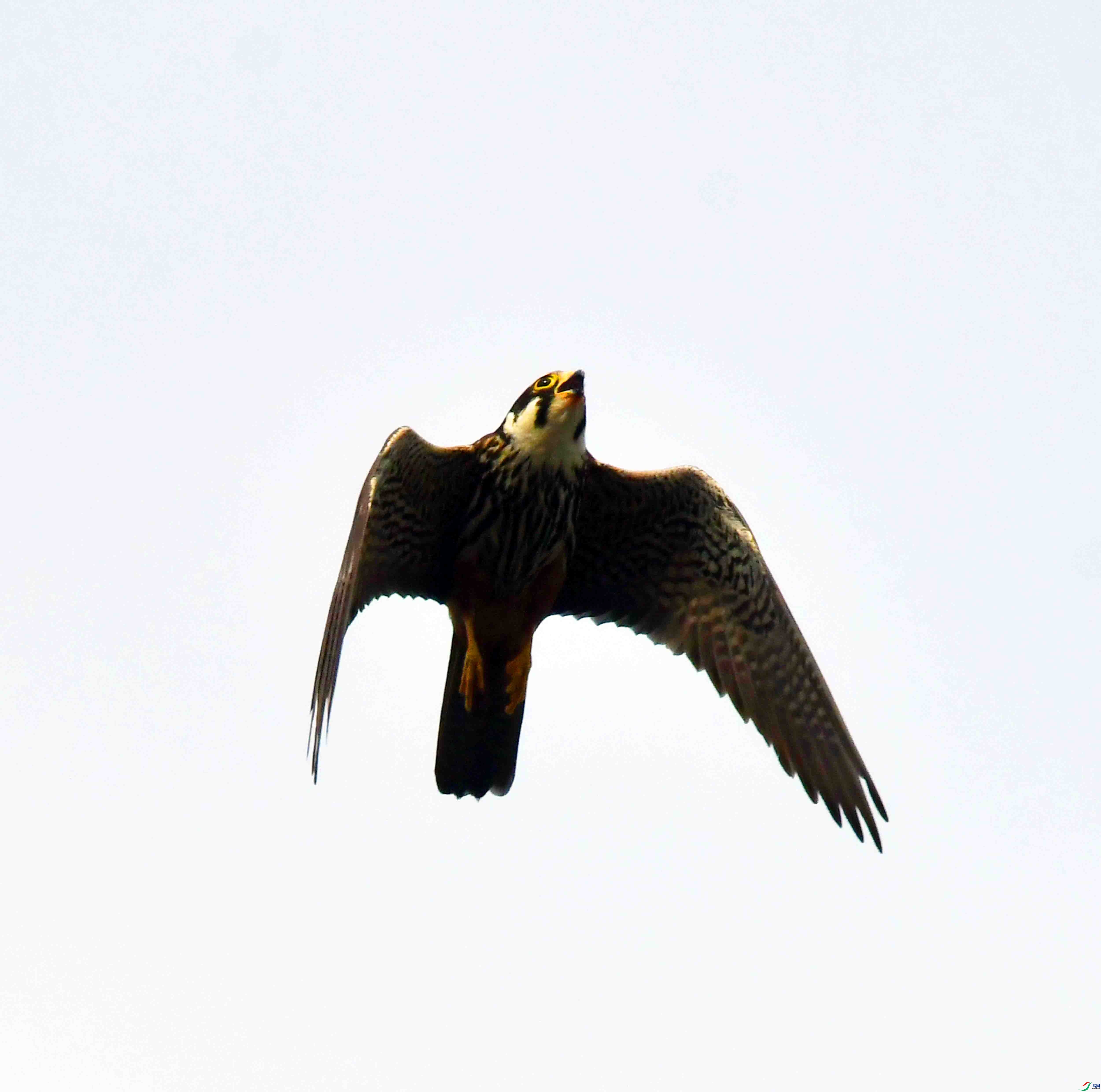 DSC_5068.JPG